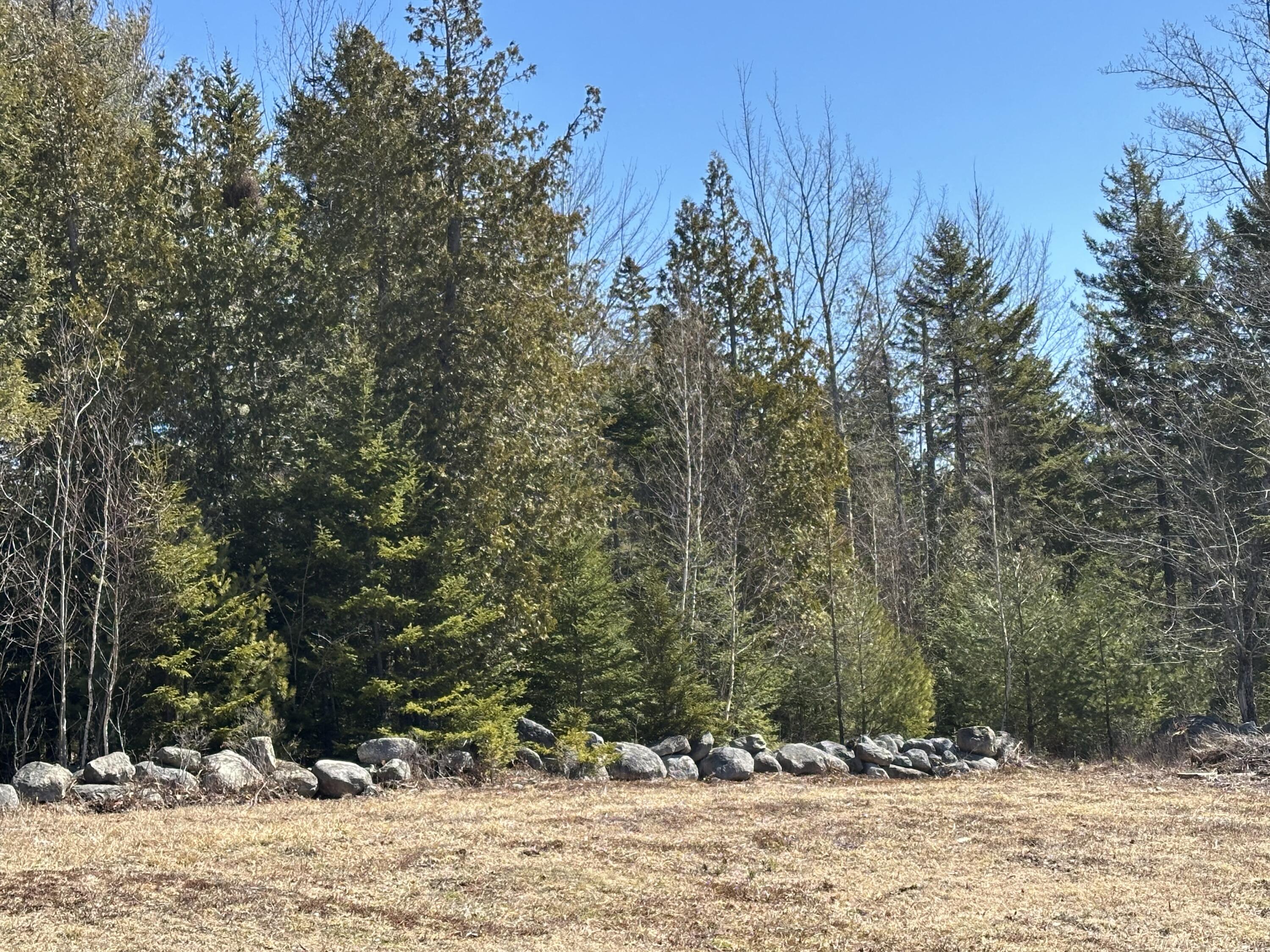 Lot UNIT&nbsp;0 Morgan Bay Road, Surry, ME, 04684