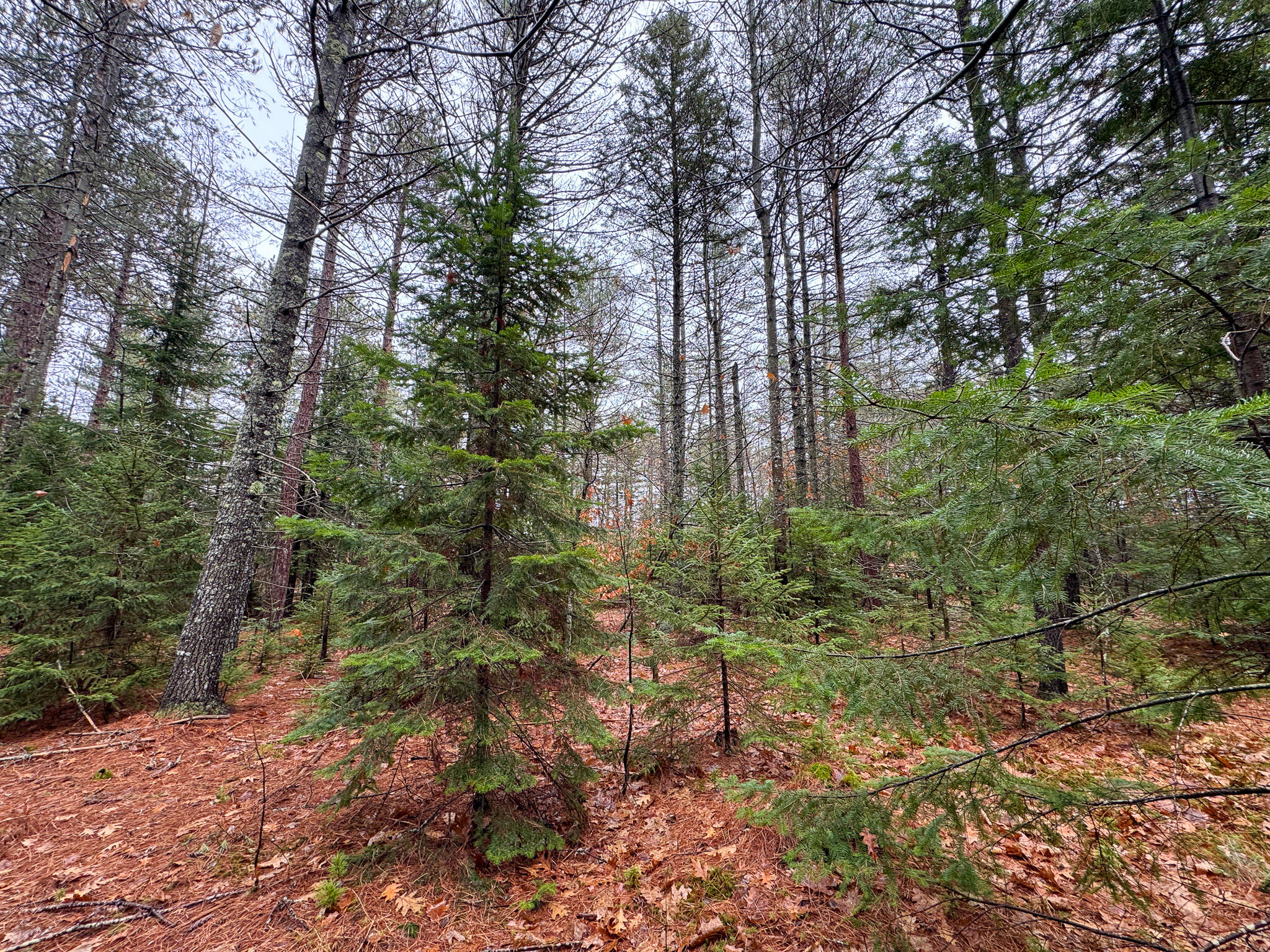 43 Fleming Road, Bethel, ME, 04217