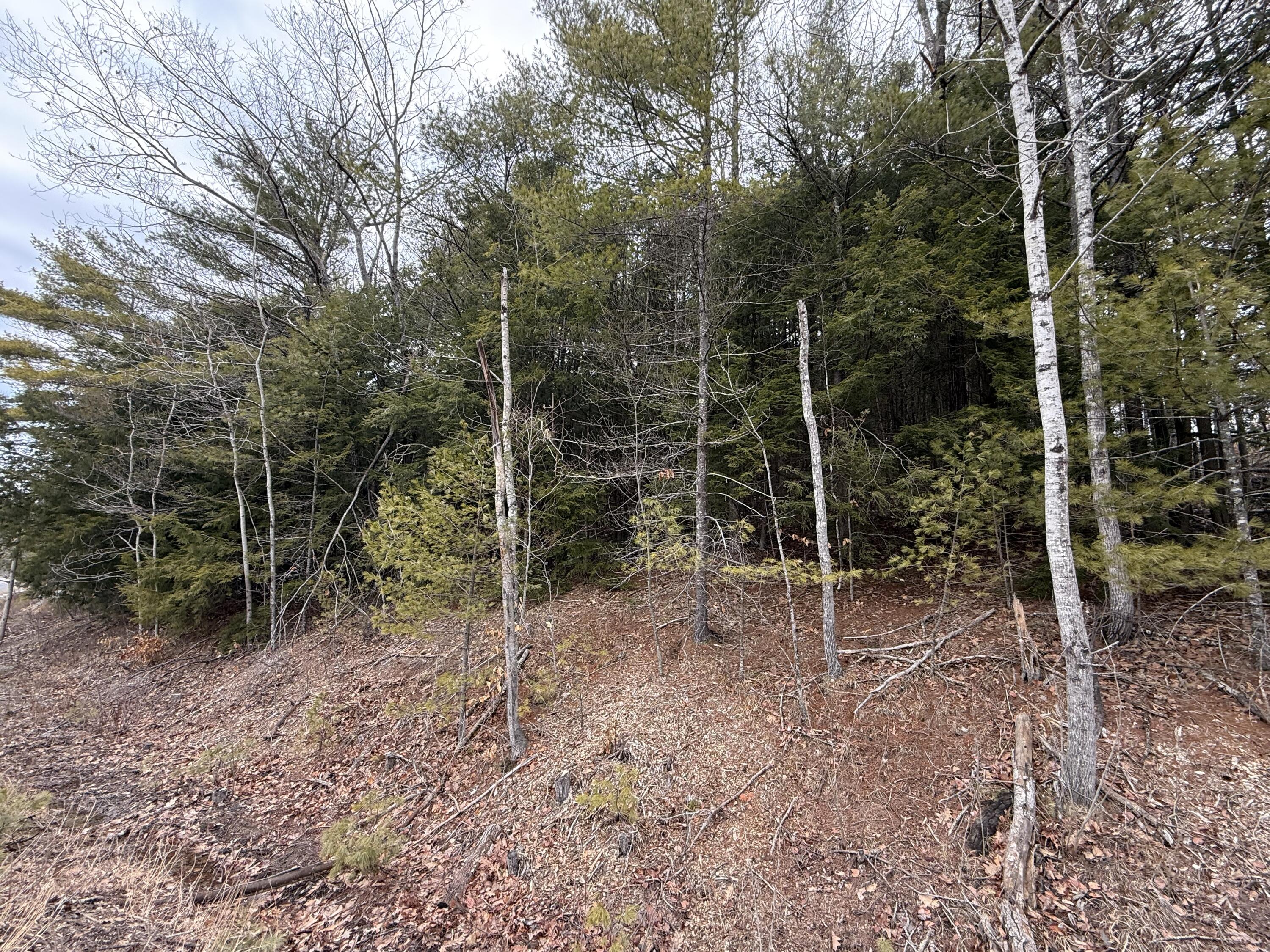 M43 L6 Shady Nook Road, Newfield, ME, 04095