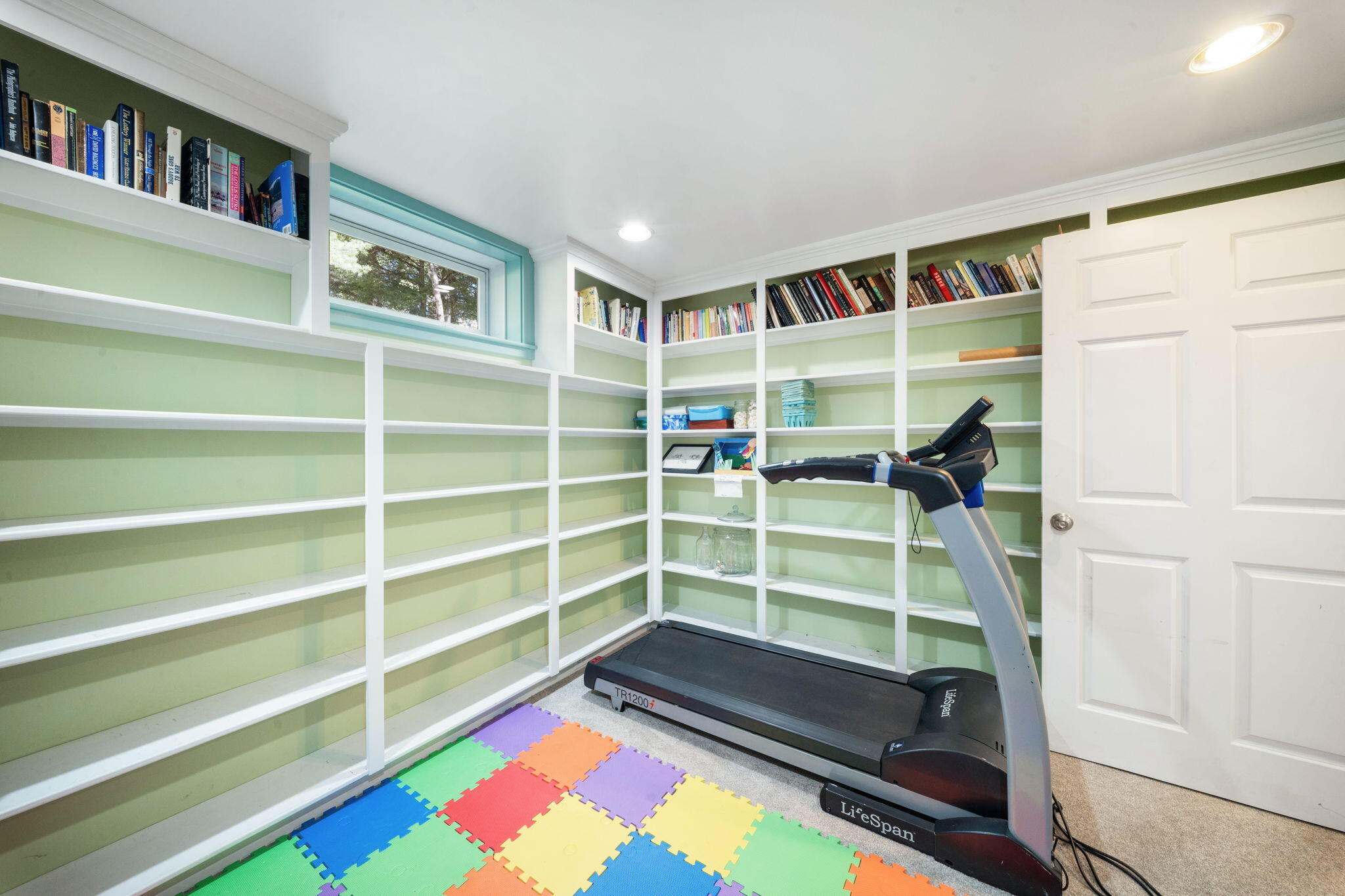 Basement Library