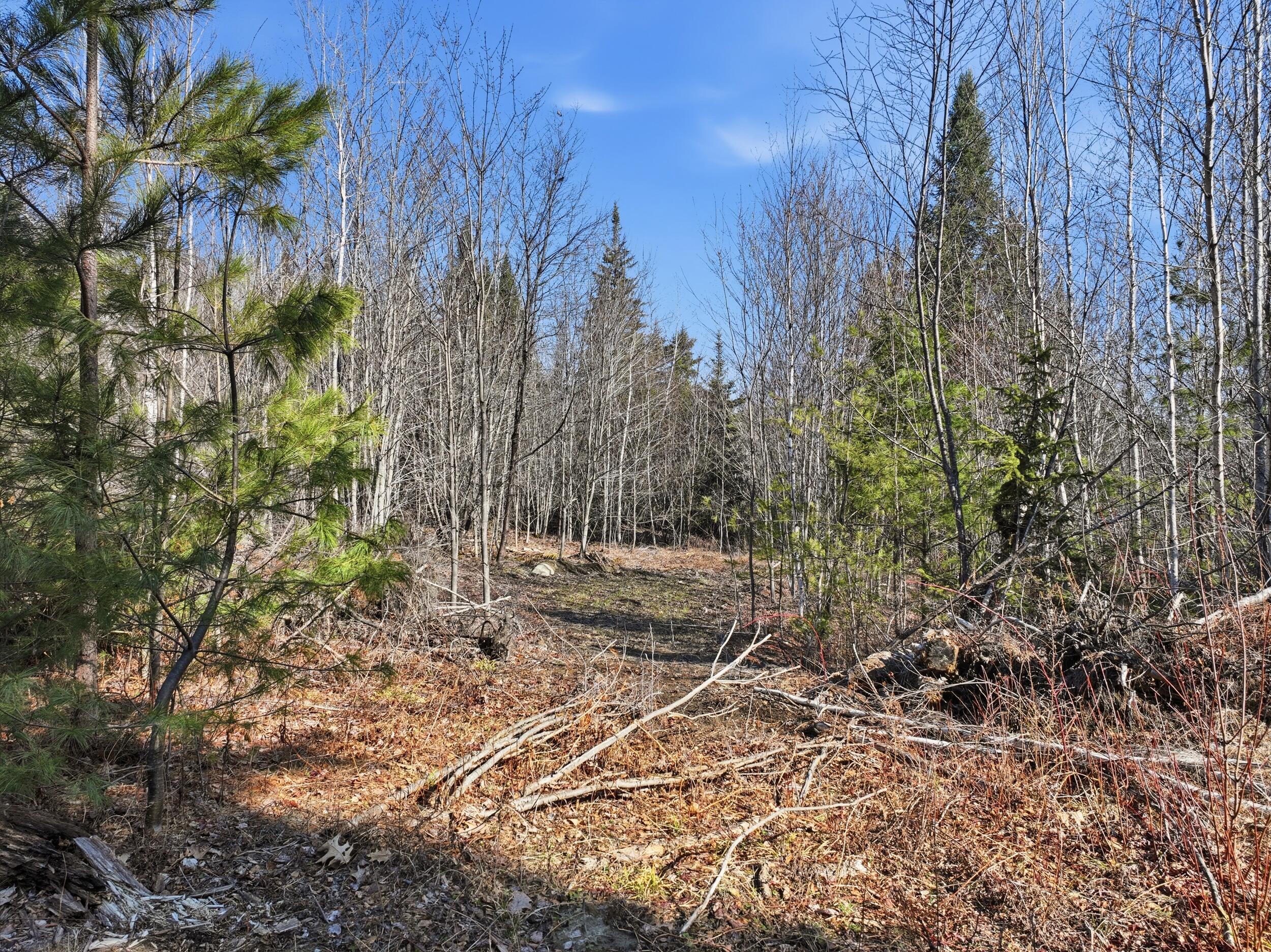 TBD Bennoch Road, Alton, ME, 04468