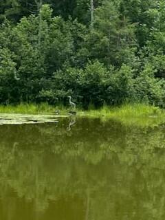 254 Eaton Road, Dexter, ME 04435 — photo 48