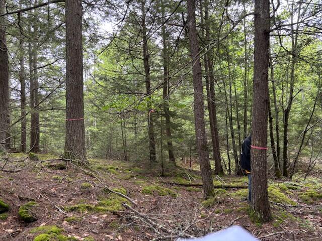 44A Trott Road Road, Woolwich, ME, 04579