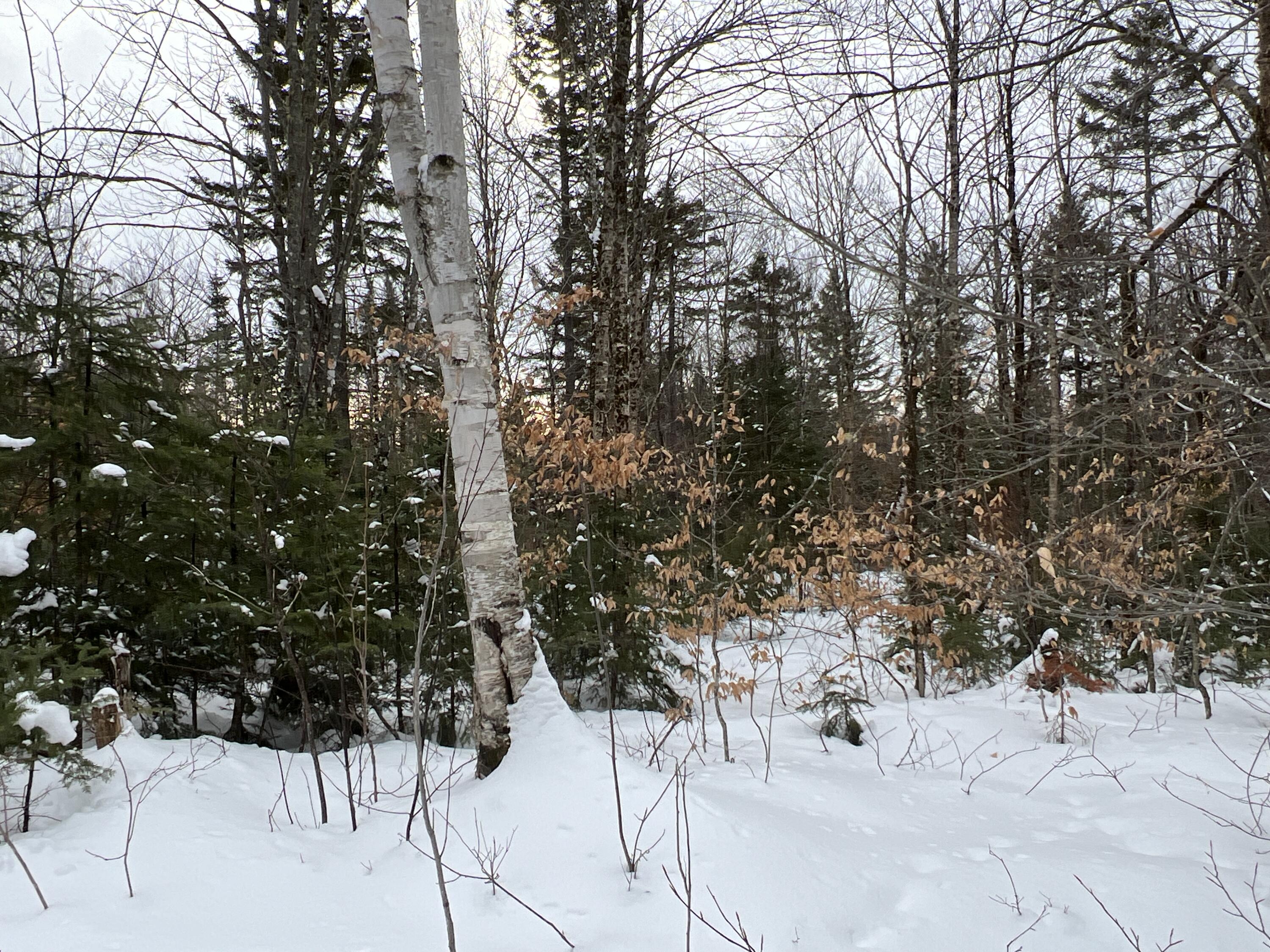 Lot 2-18 Shin Pond Road, Mount Chase, ME, 04765