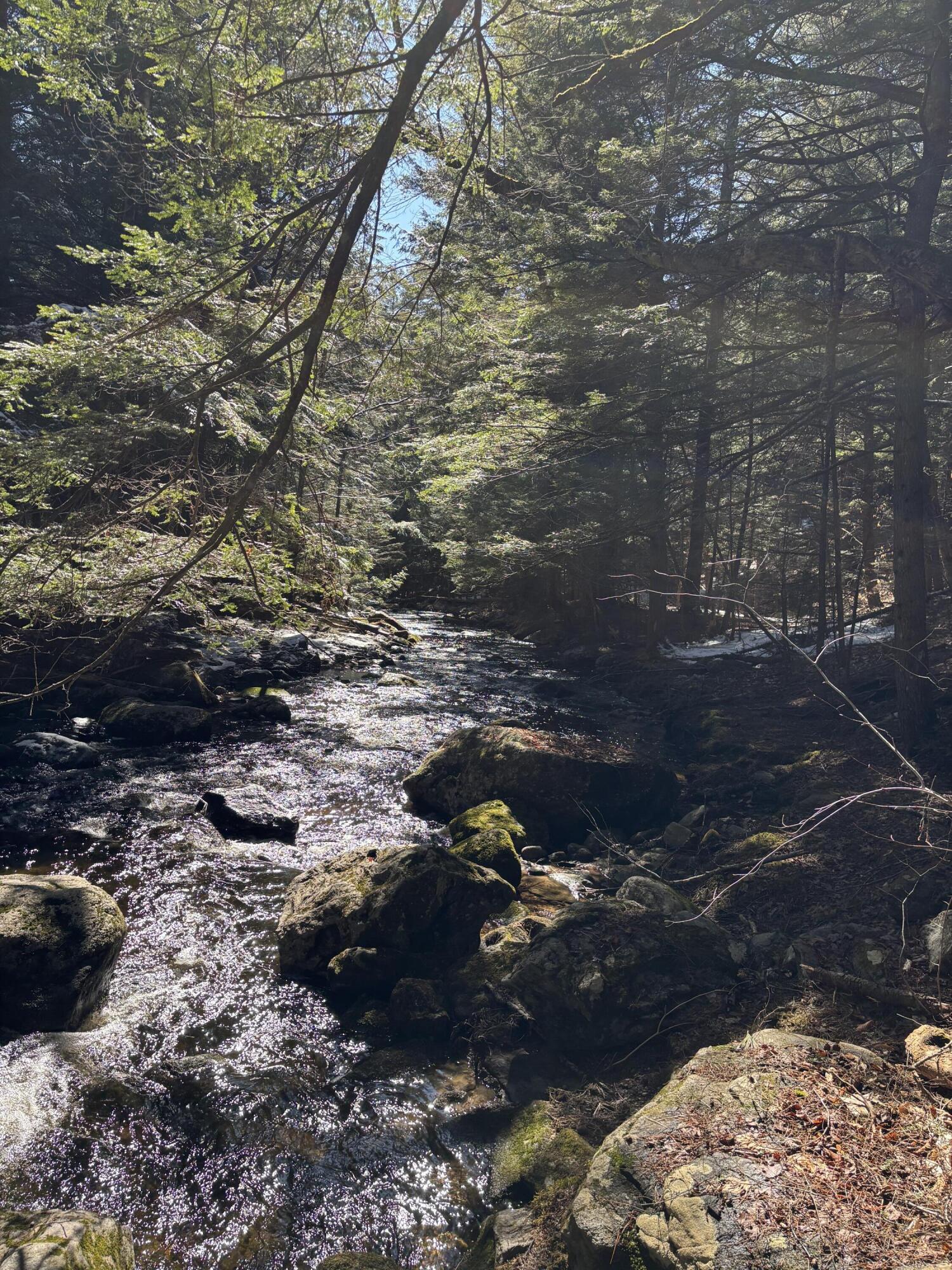 6 Bog Brook Loop, West Paris, ME, 04289