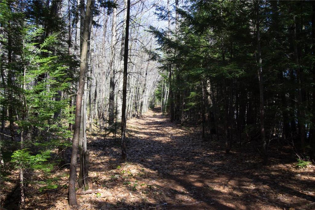 Lot 4 Jordan Woods Road, Bethel, ME, 04217