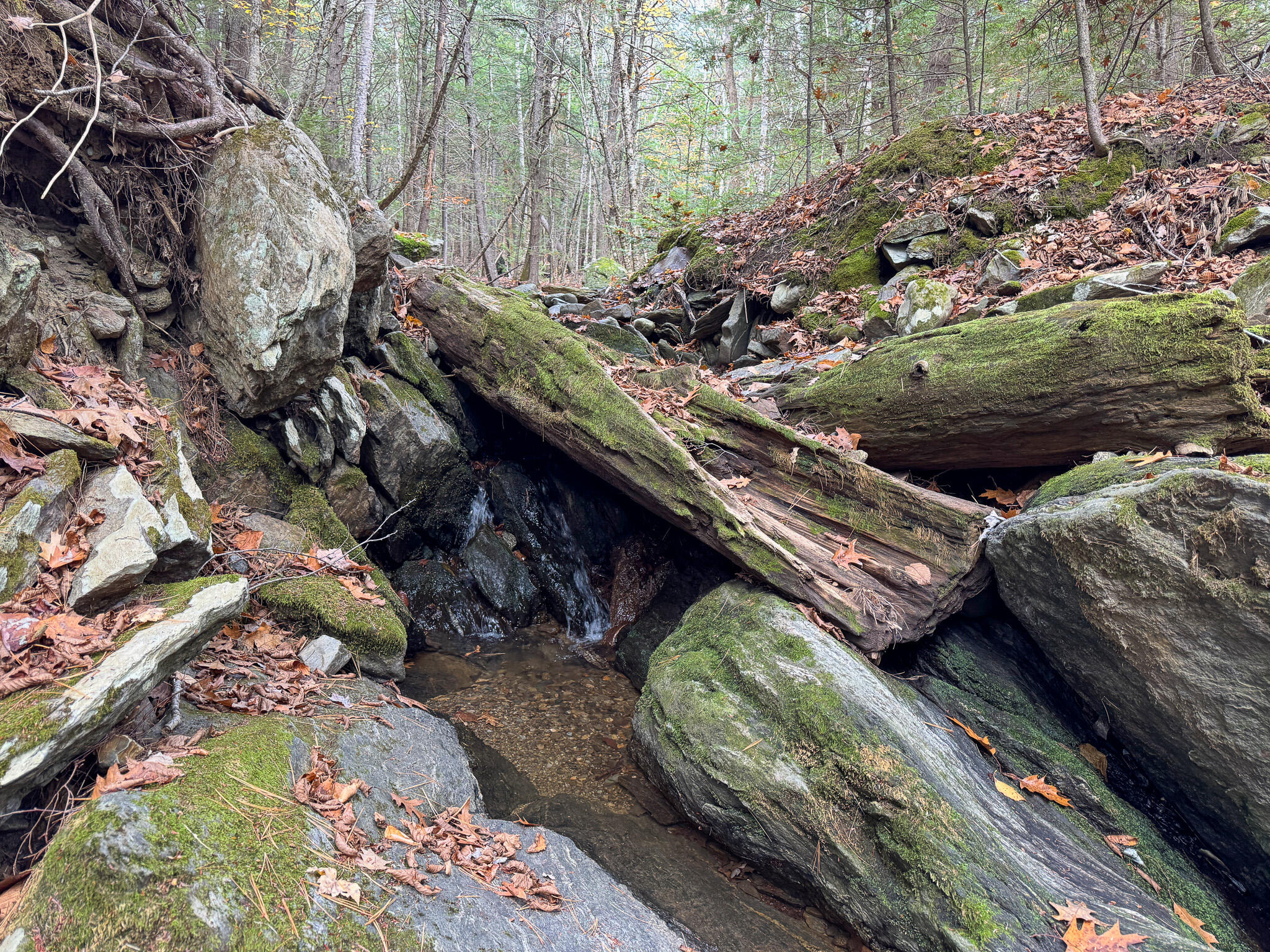 Lot 2 Darci Lane, Montville, ME, 04941