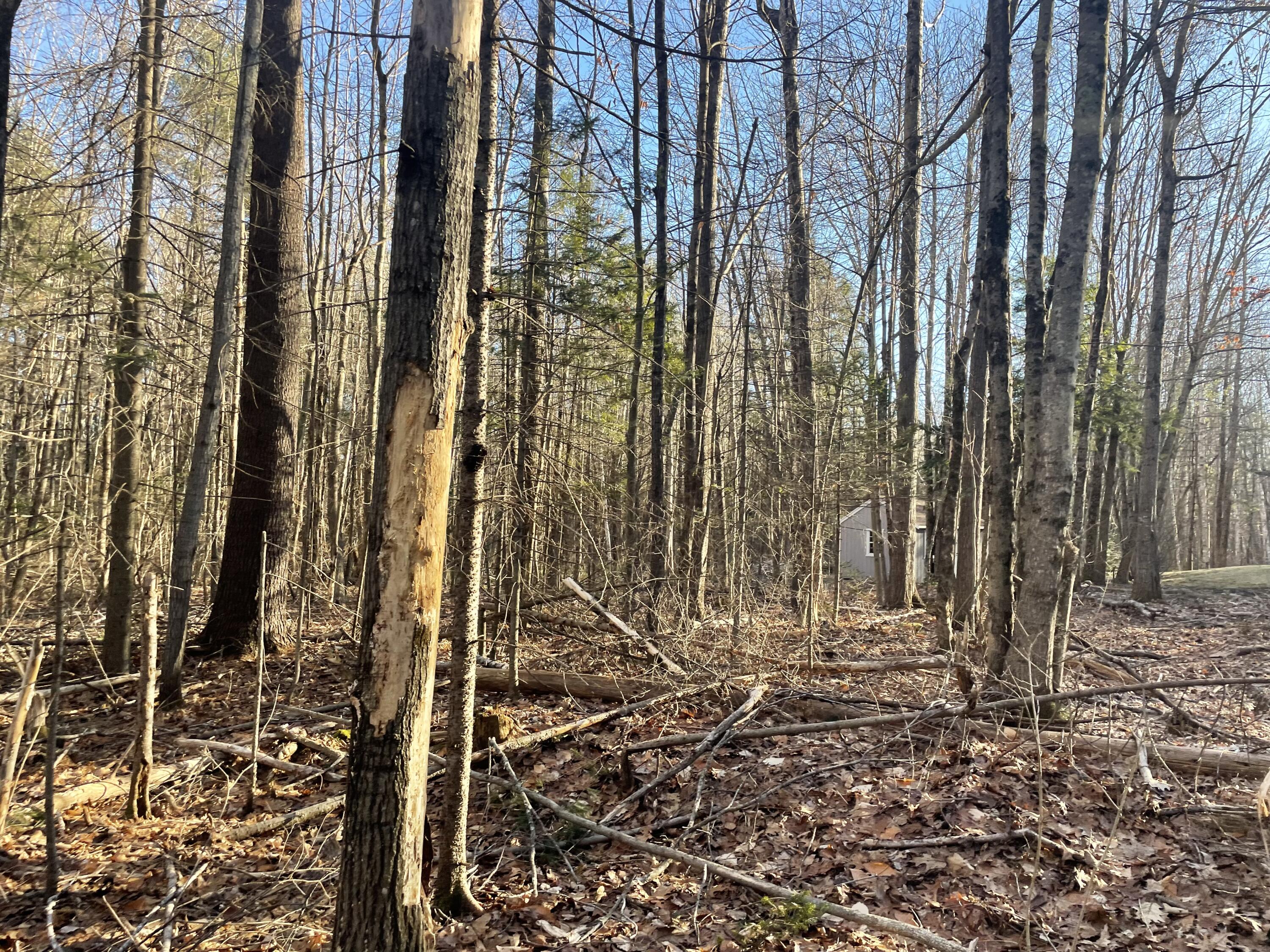 0 Cross Street, Manchester, ME, 04351