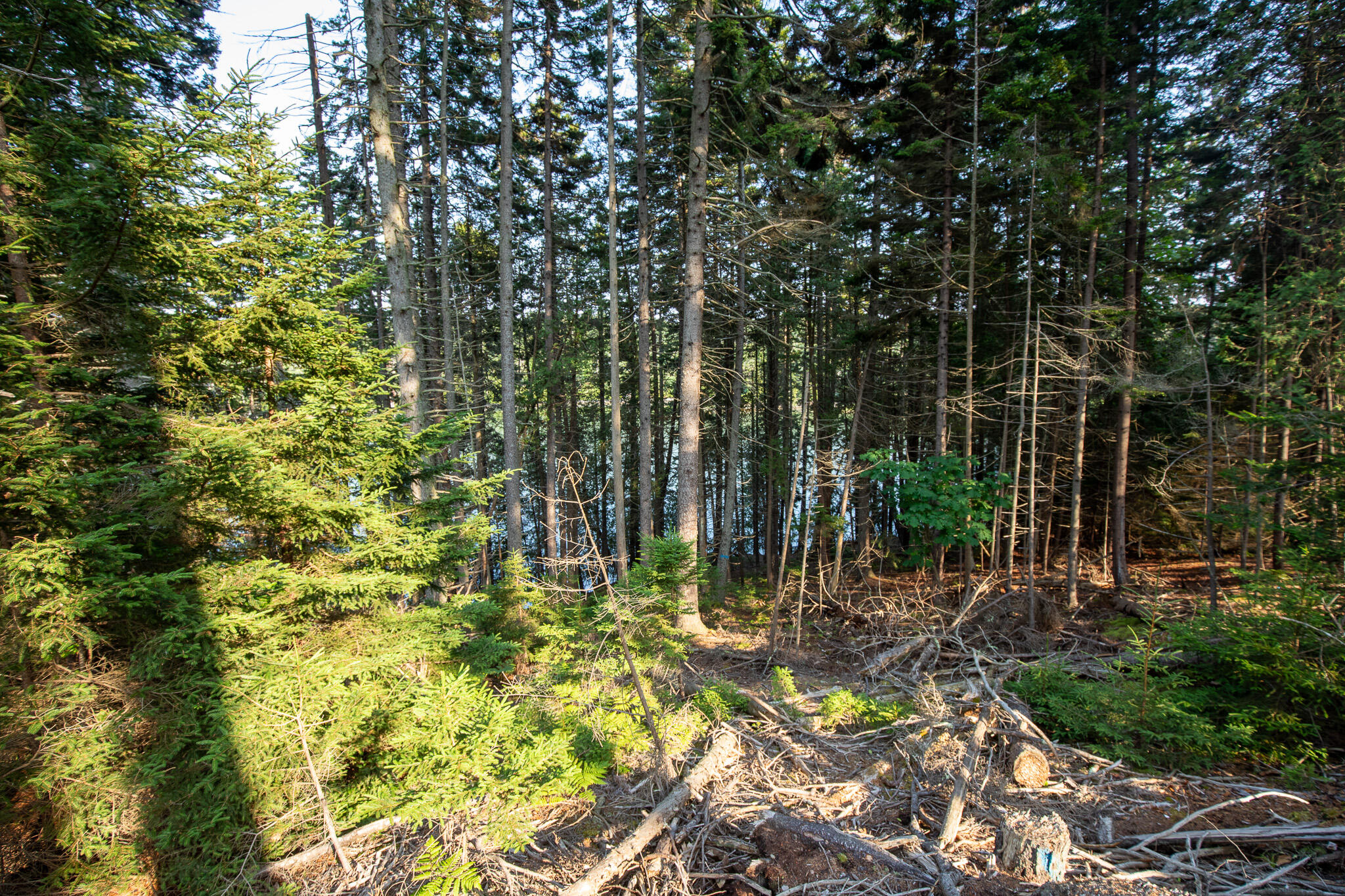 0 Bayview Road UNIT 2, Harpswell, ME, 04066