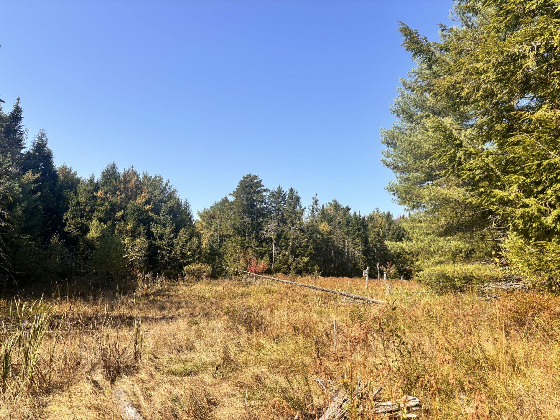 150 Bowden Point Road, Prospect, ME, 04981