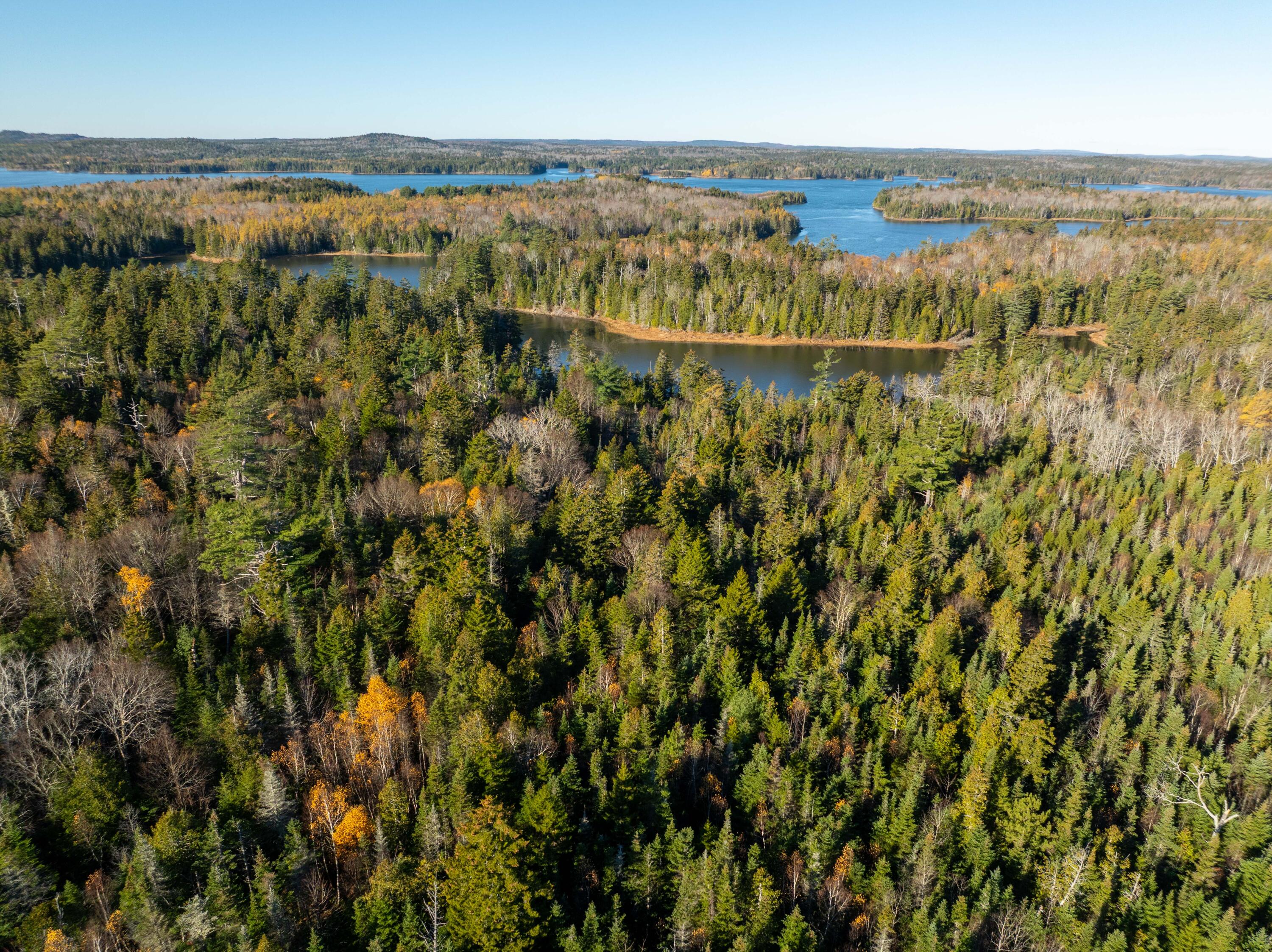 01-4 WA035, Trescott Twp, ME, 04652
