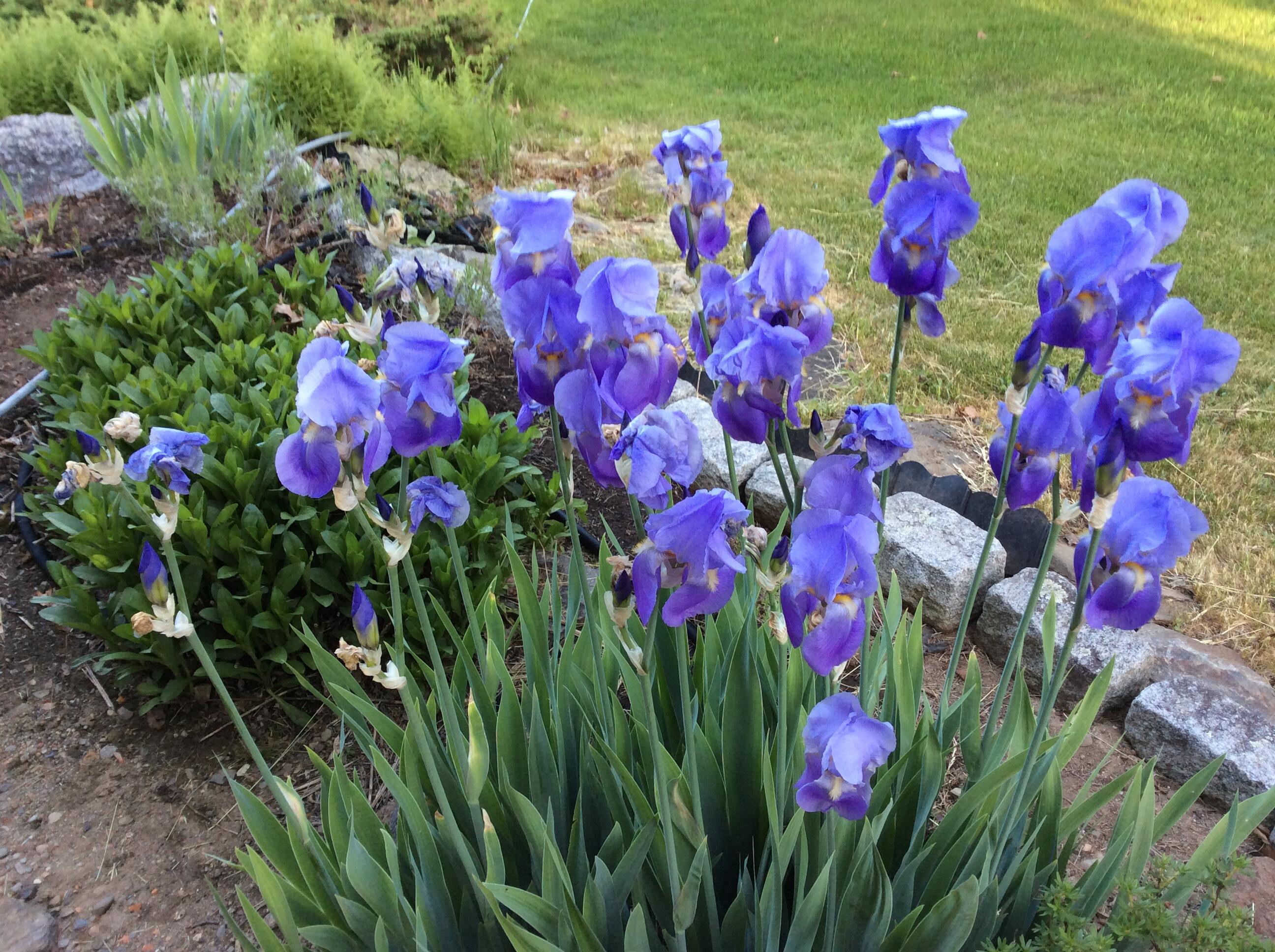 482 Back Road, Shapleigh, ME, 04076