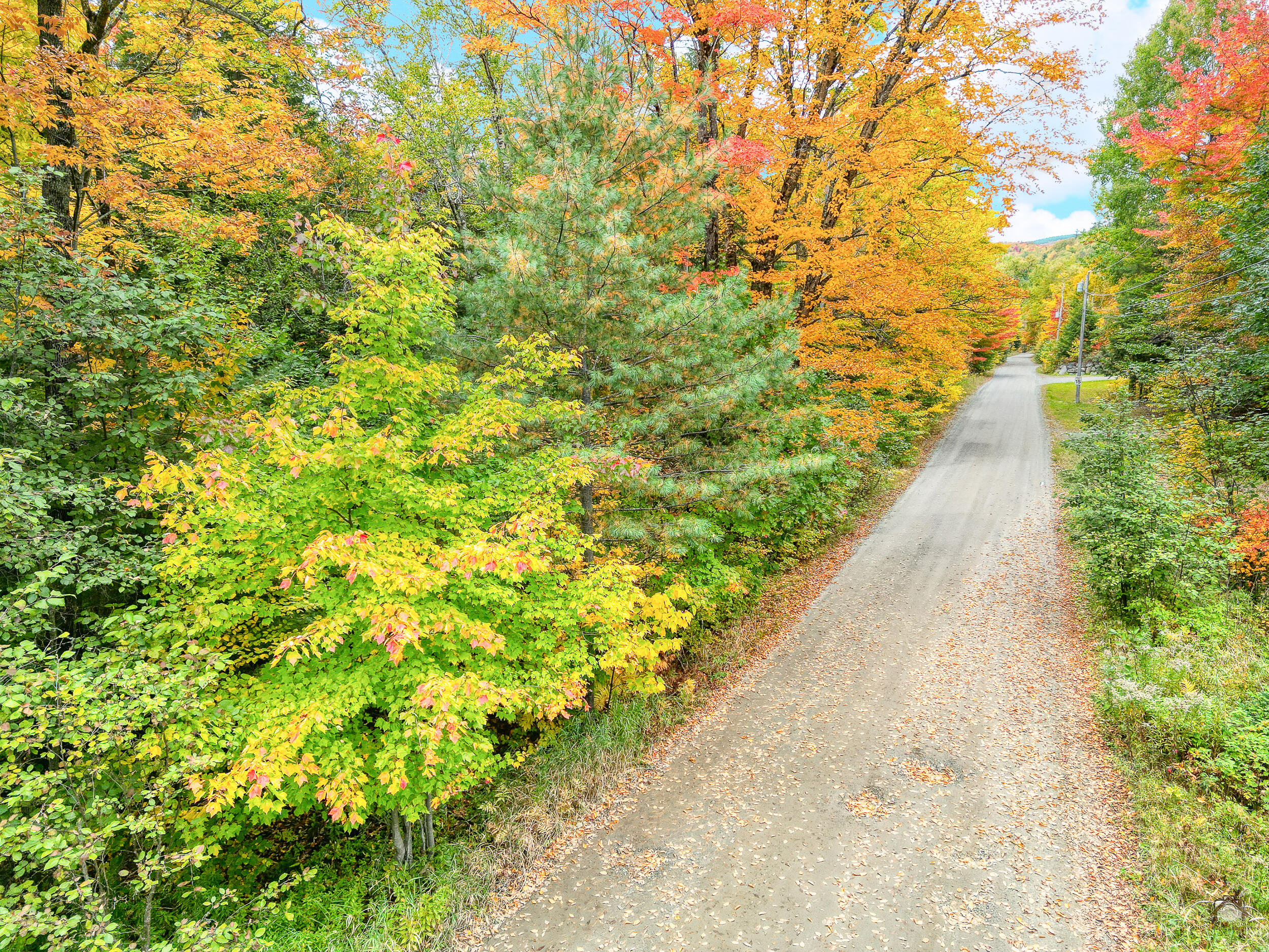 Lot 1-23 Claybrook Road, Kingfield, ME 04947 331-dp-119