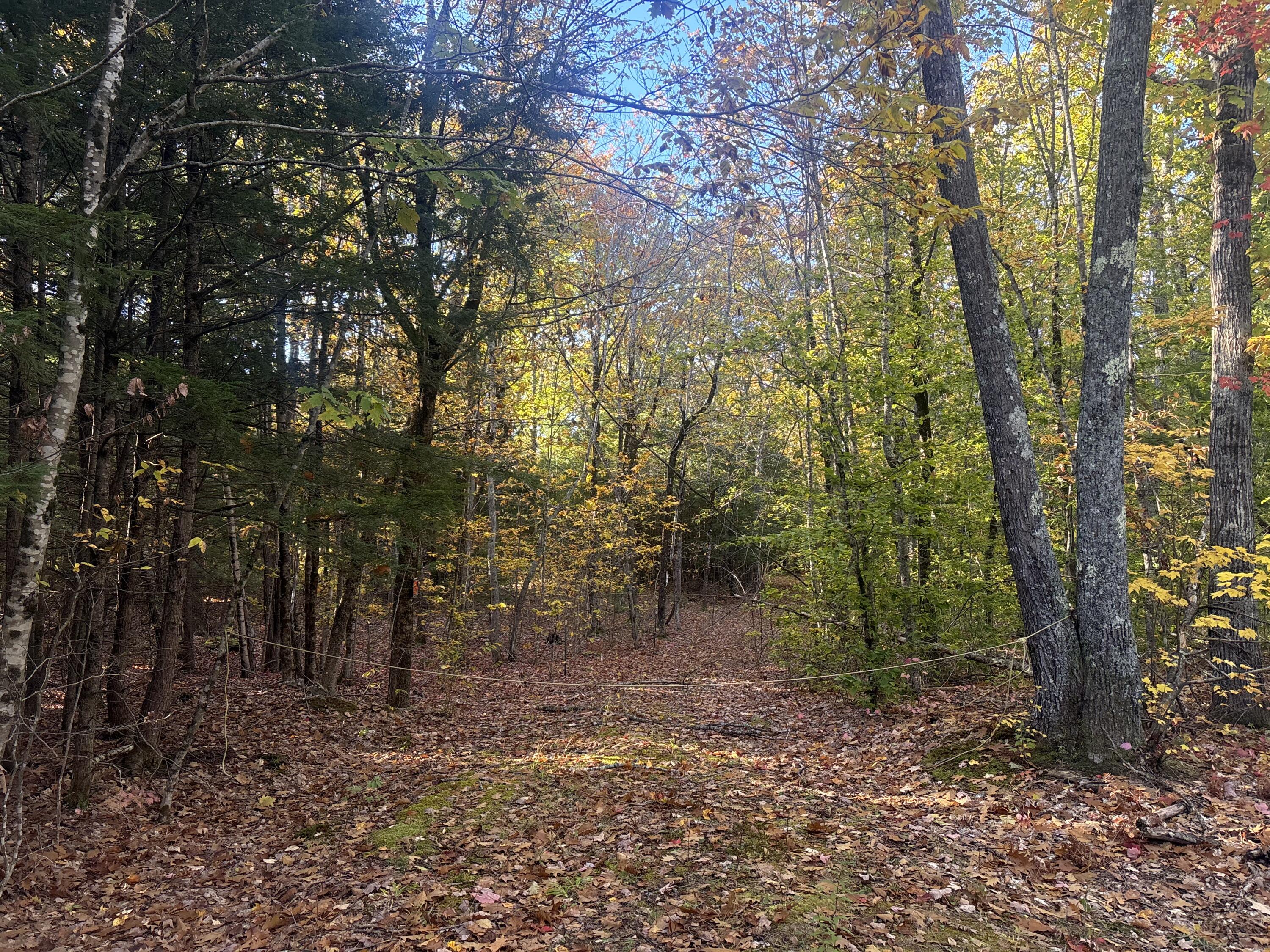 Rural Maine (10+ Acres) Real Estate For Sale