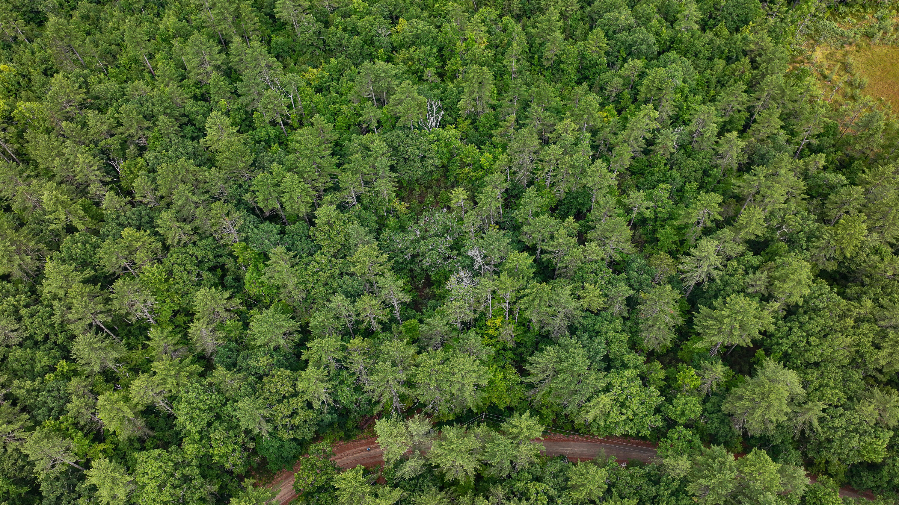 62-B Long Pond Drive, Denmark, ME, 04022