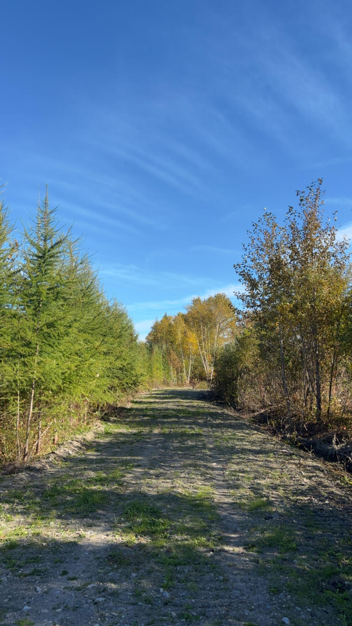 Photo of M36L25 Lot 25 Grand Isle ME 04746