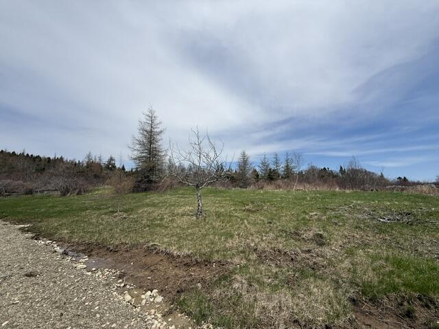 Photo of Lot 3 Holmes Bay Farms Road Whiting ME 04691
