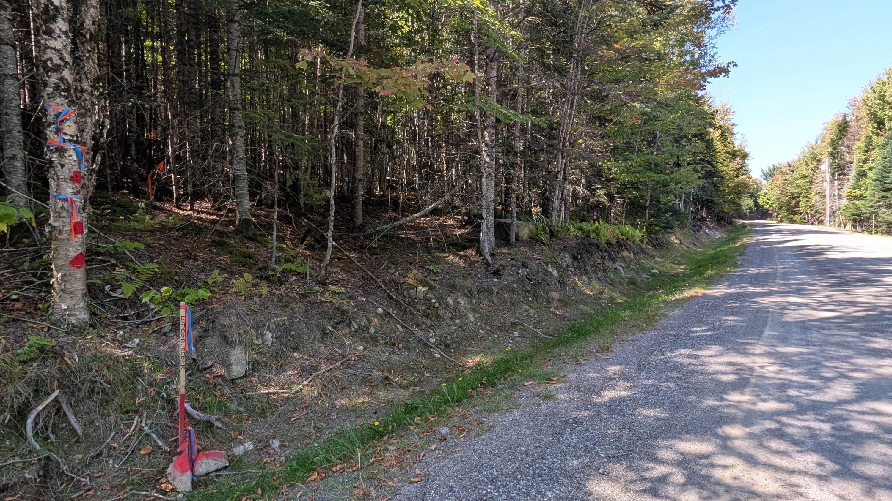 Property photo for 1 Dodge Pond Road, Rangeley, ME