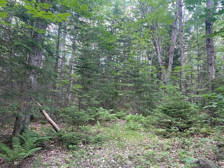 80 Gammon Road, Peru, ME, 04290