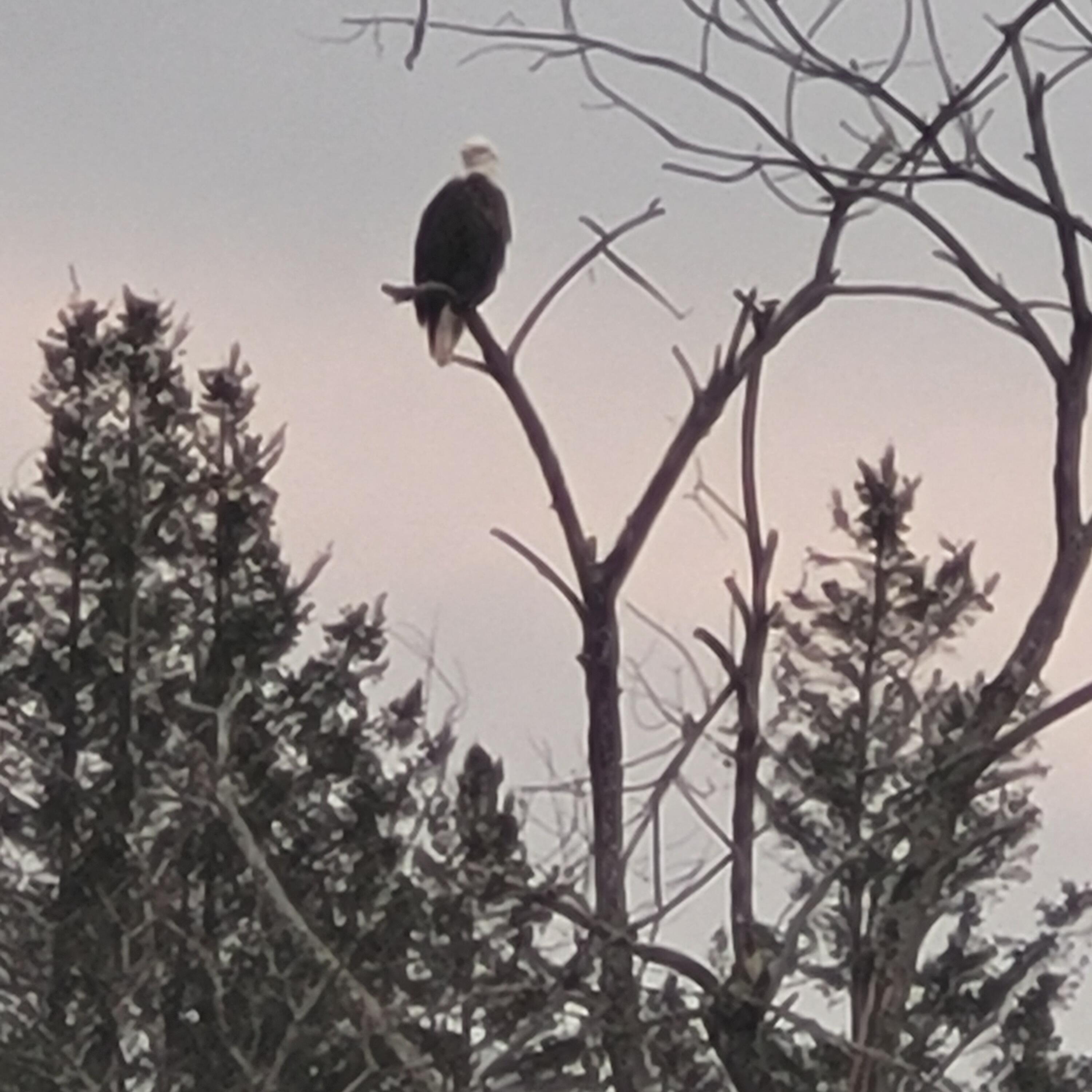 147 N Main Street, Monmouth, ME, 04265