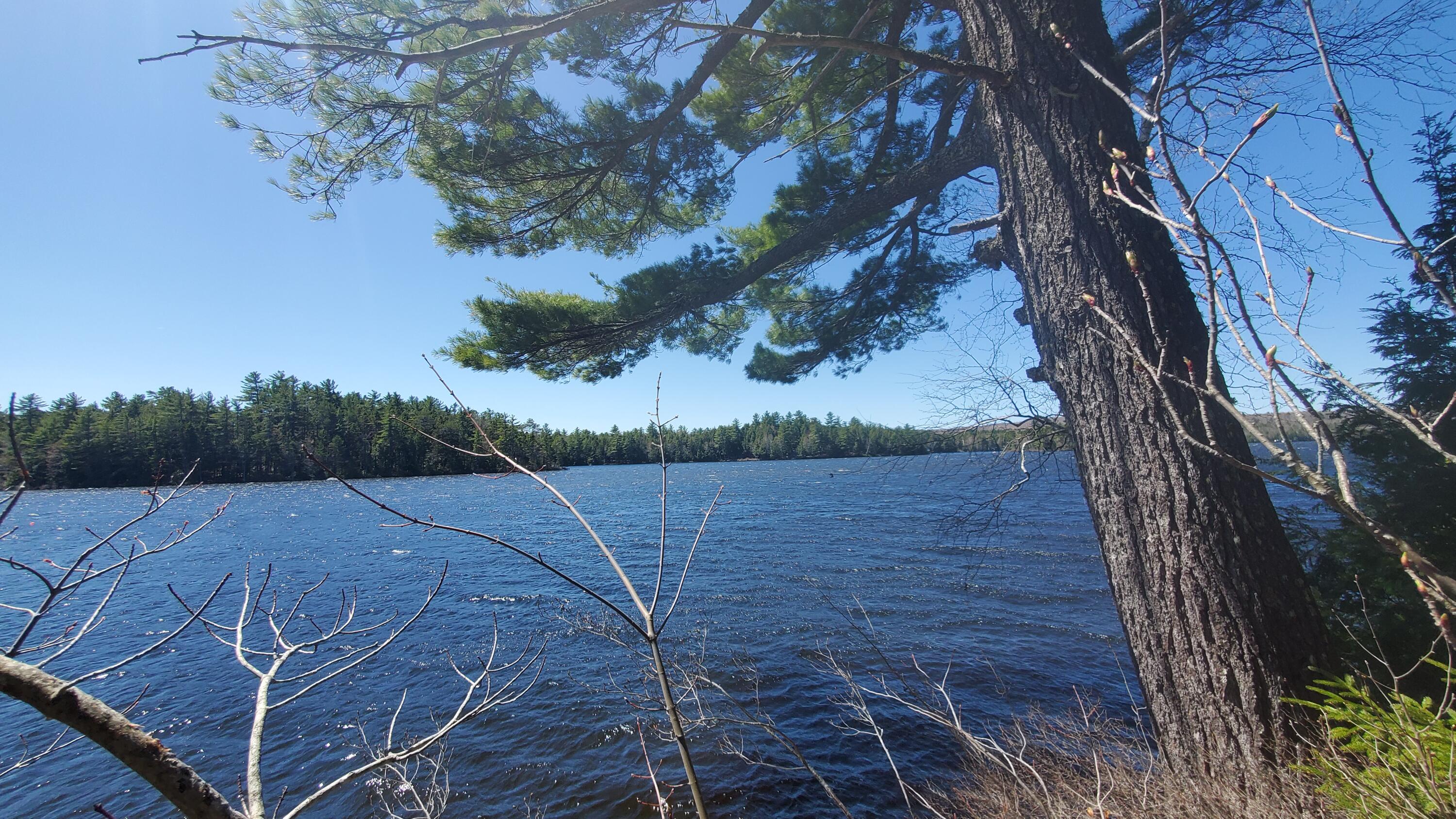 307 Lakeville Shores Road, Lakeville, ME, 04487