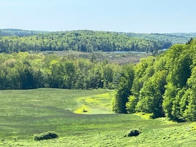 38 Kuvaja Road, Greenwood, ME, 04255