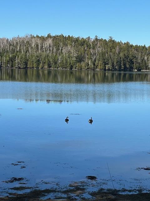 203 Garnet Head Road, Pembroke, ME, 04666