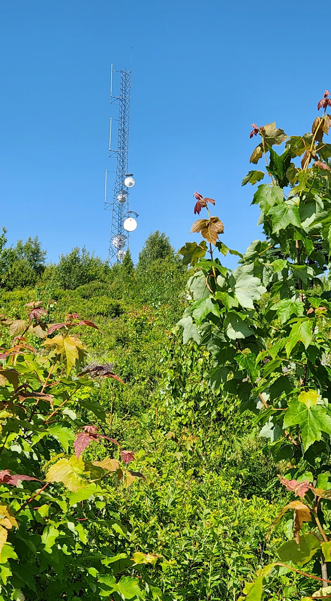 533 Mount Ephraim Map 4 Lot 63 Road, Searsport, ME, 04974