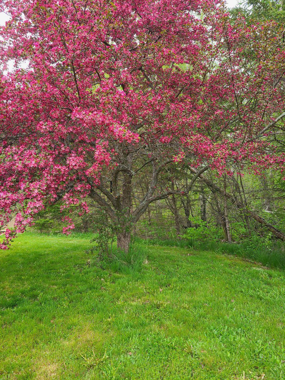 Lots of Color
