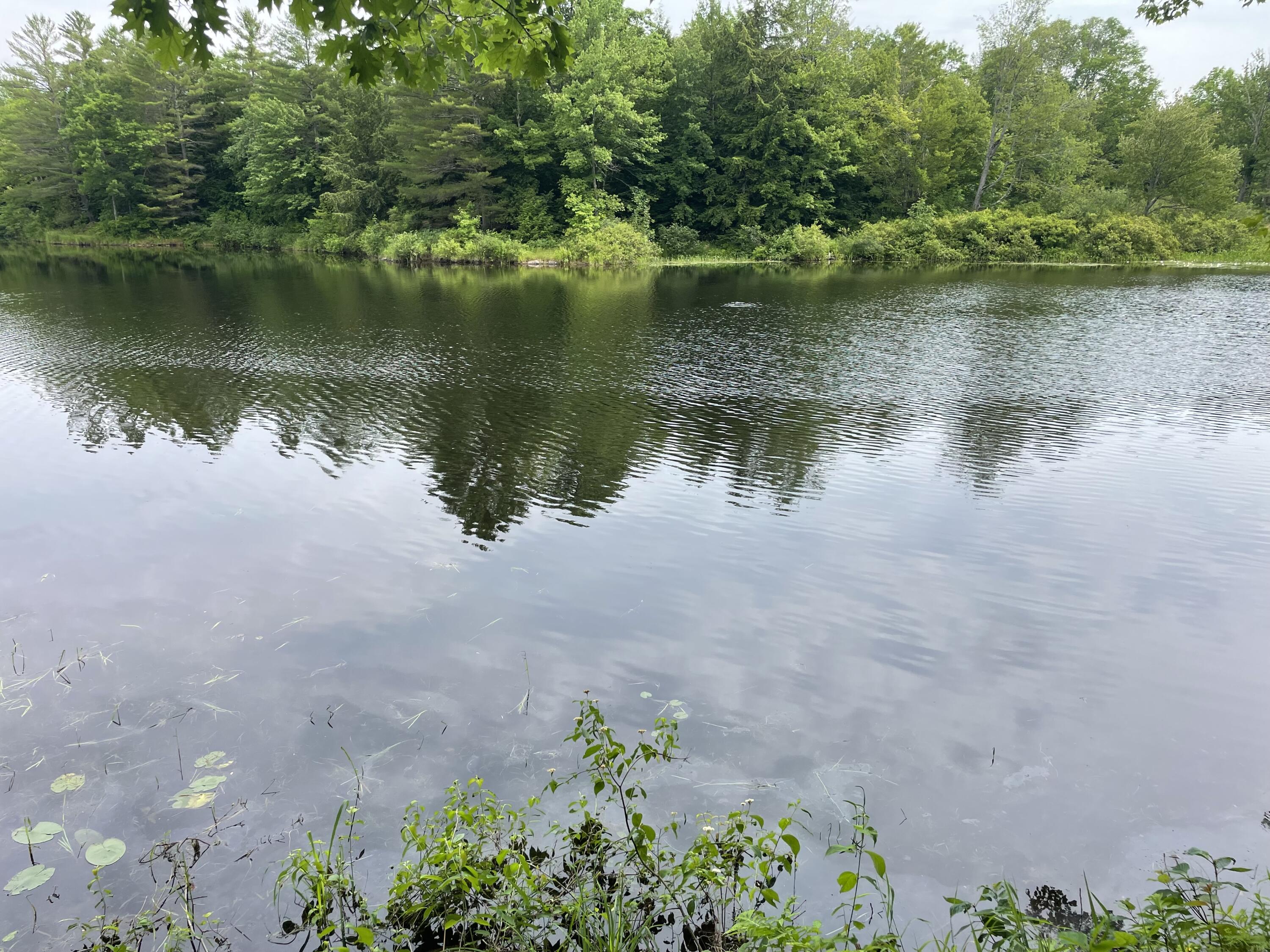Photo of 0 Hartland Avenue Pittsfield ME 04967