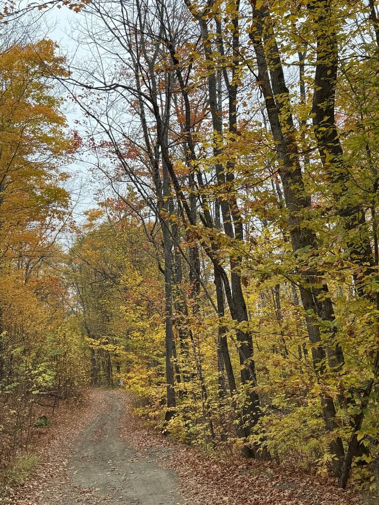 Lot 005 Greenwood Brook Road, Industry, ME, 04938