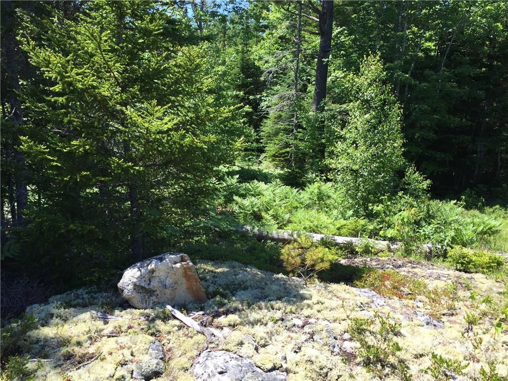 65 Lookout Mountain Road, East Machias, ME, 04630