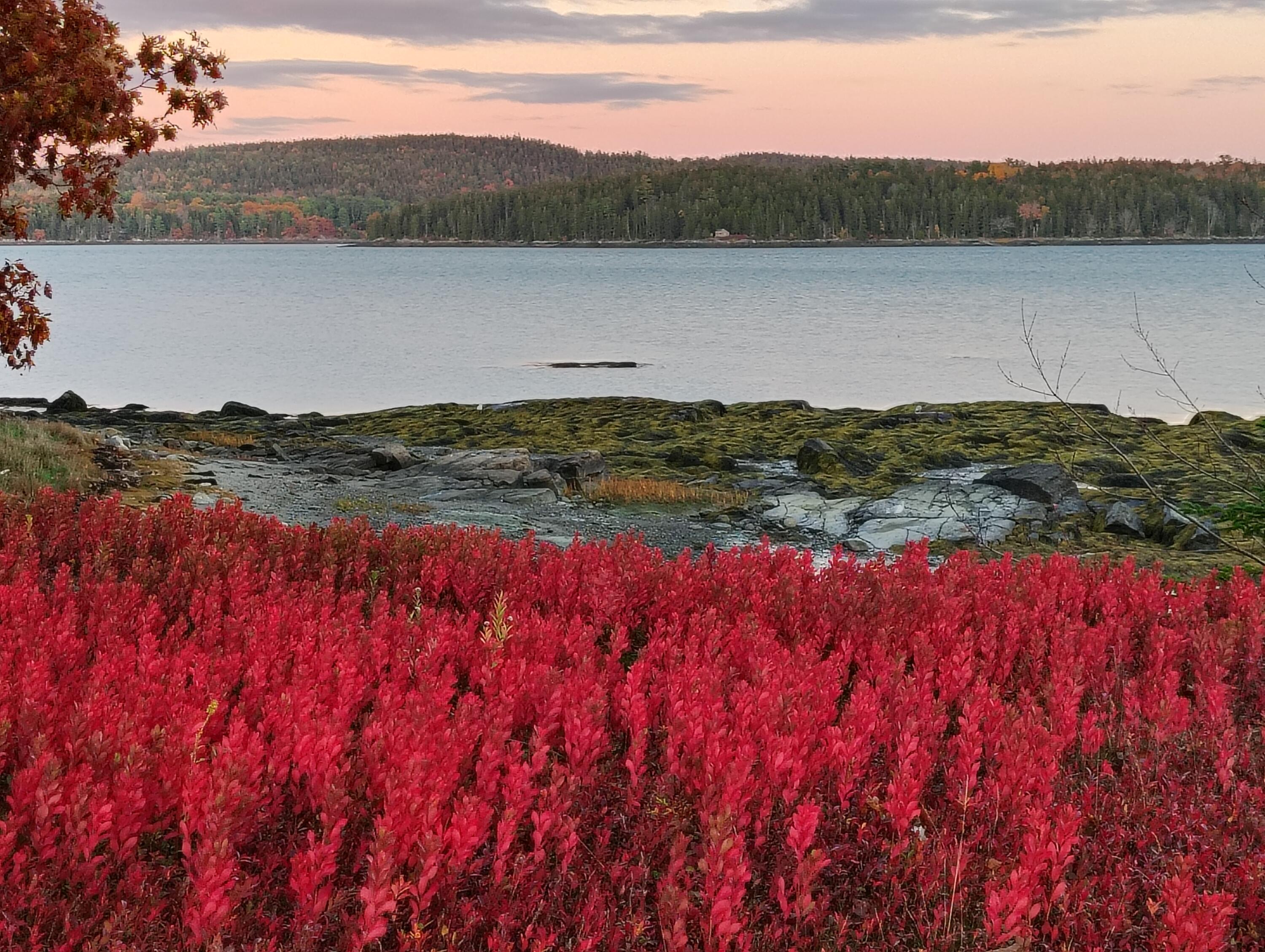 103 Gull Rock Road, Hancock, ME, 04640