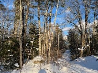 Lot 045 Sawyer Notch Road, Andover, ME, 04216