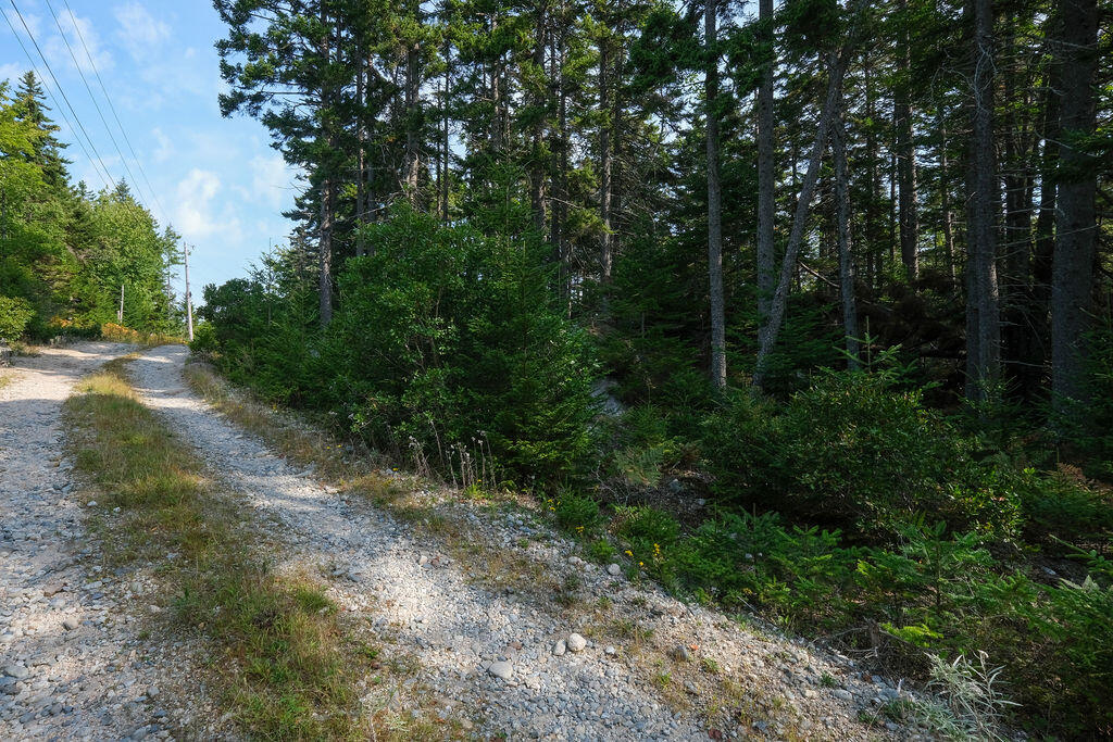 12-1 S Burnt Cove Road, Stonington, ME, 04681