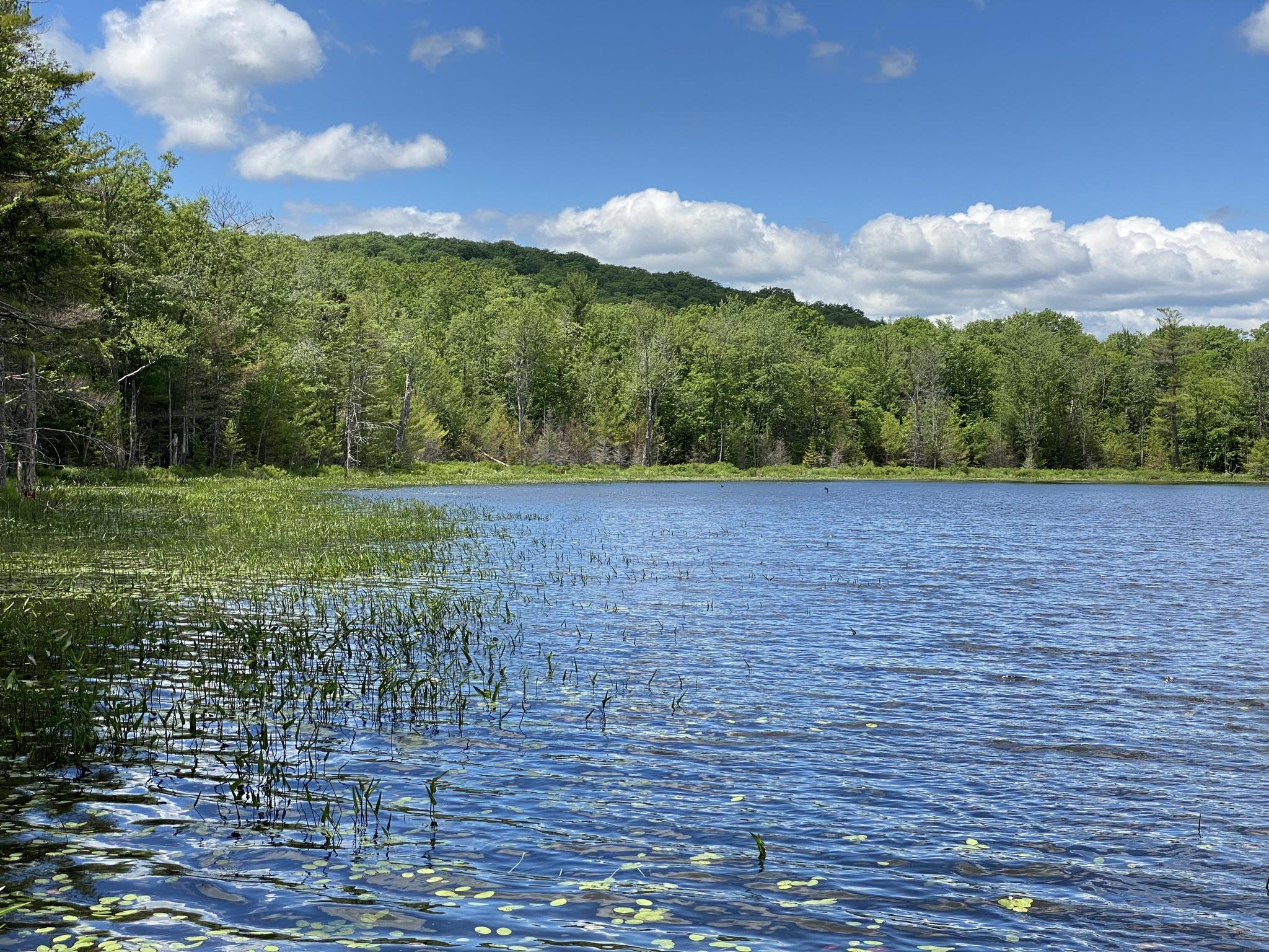 346 Bradeen Road, Sumner, ME, 04292