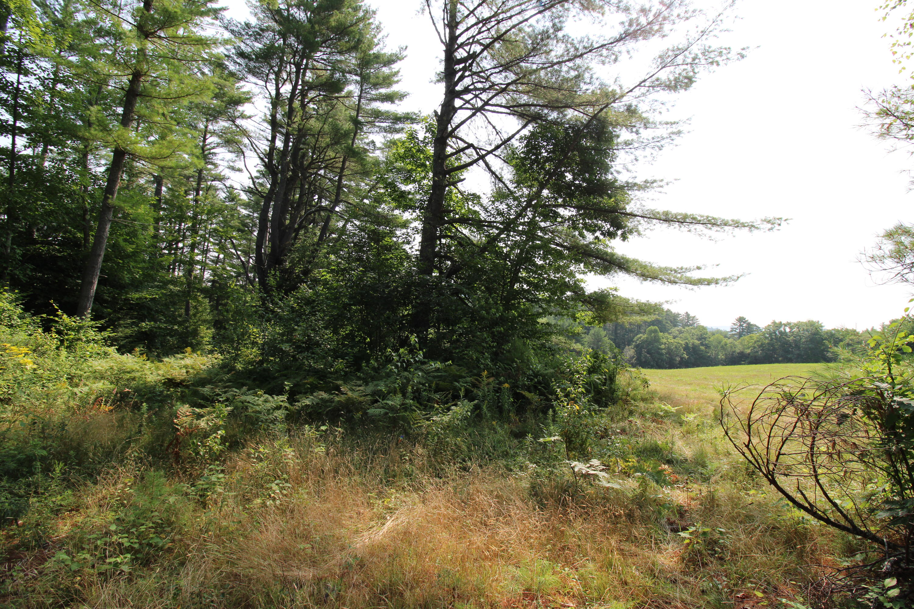 Lot 12 Bear Pond Road, Waterford, ME, 04088