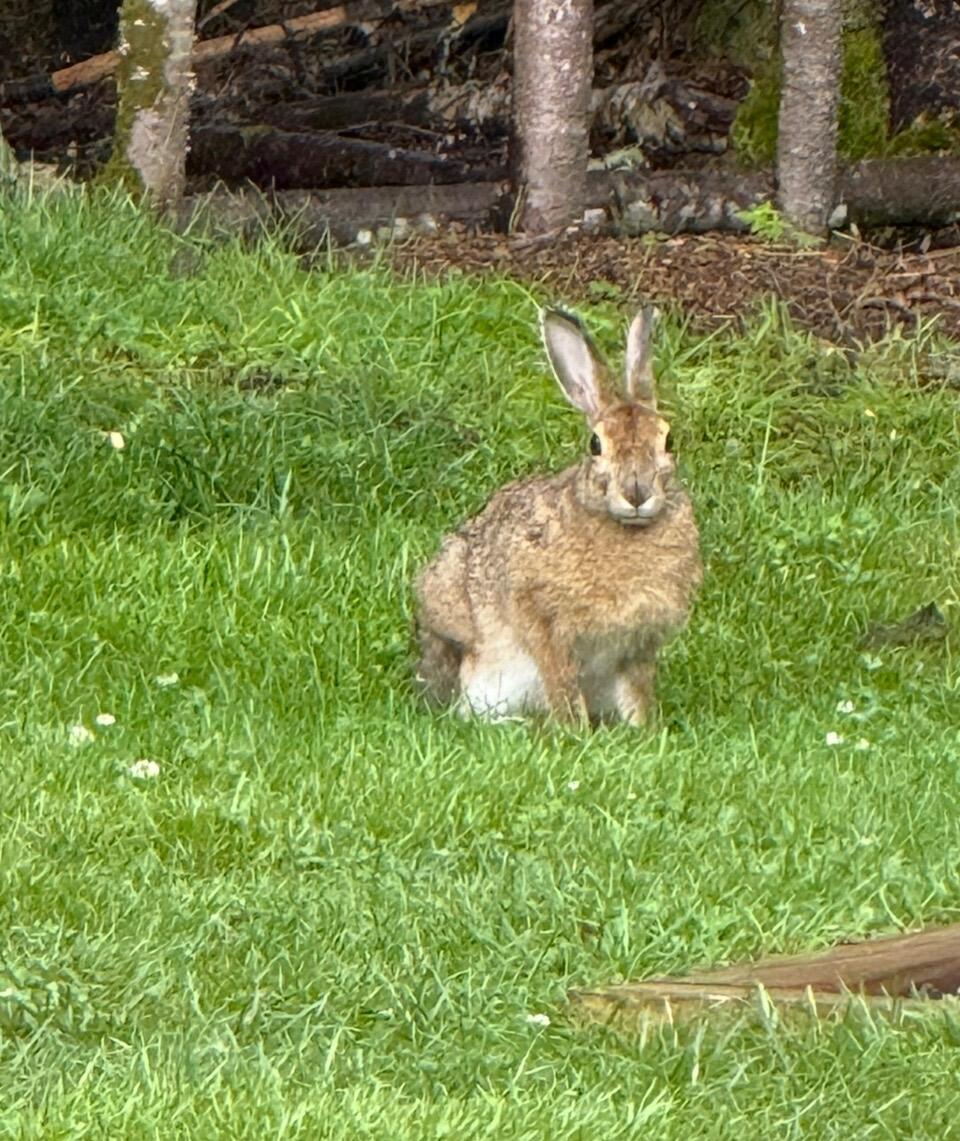 657 Bemis Road, Rangeley Plt, ME, 04970