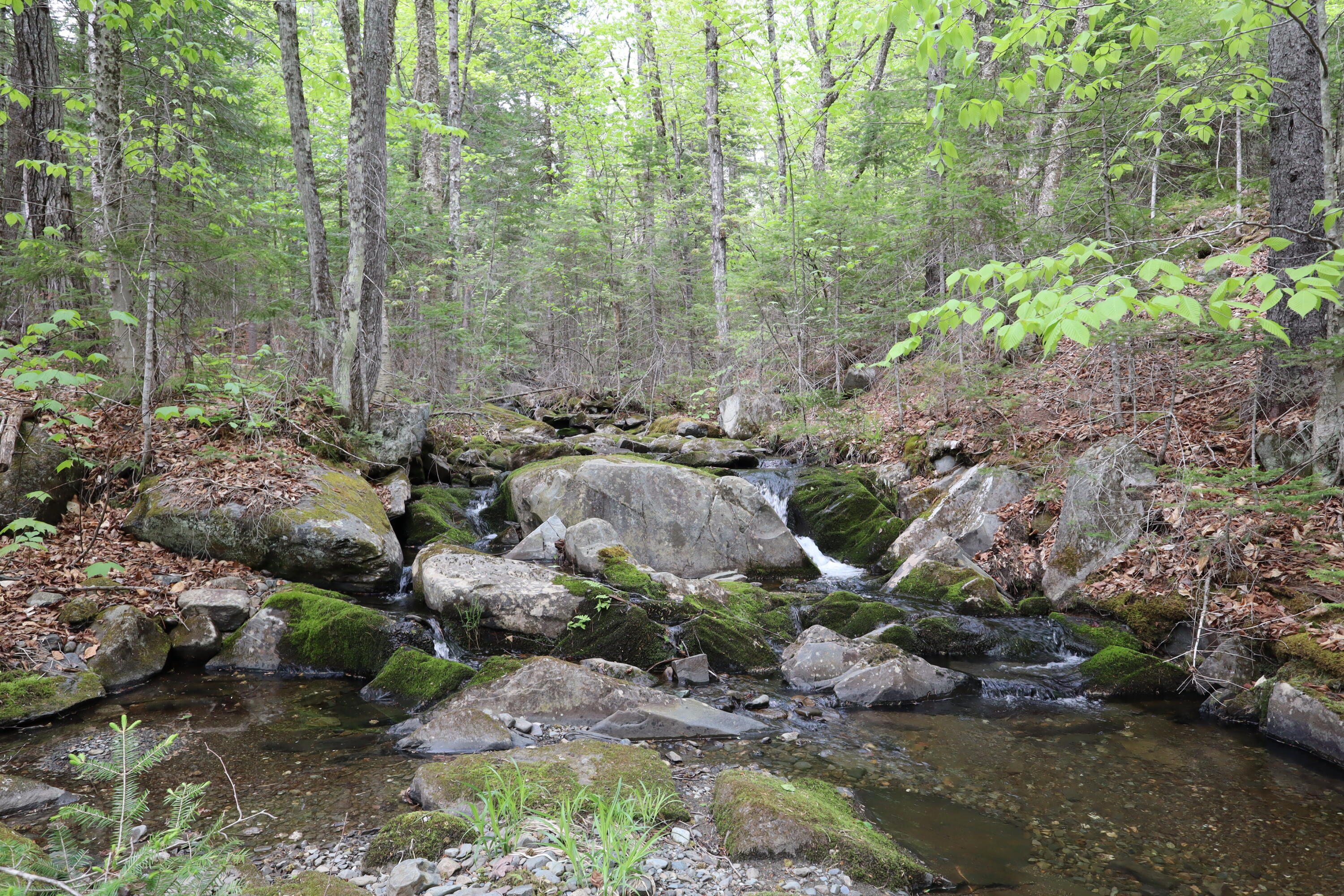 198 Scammon Road, Greenville, ME 04441 IMG_2323