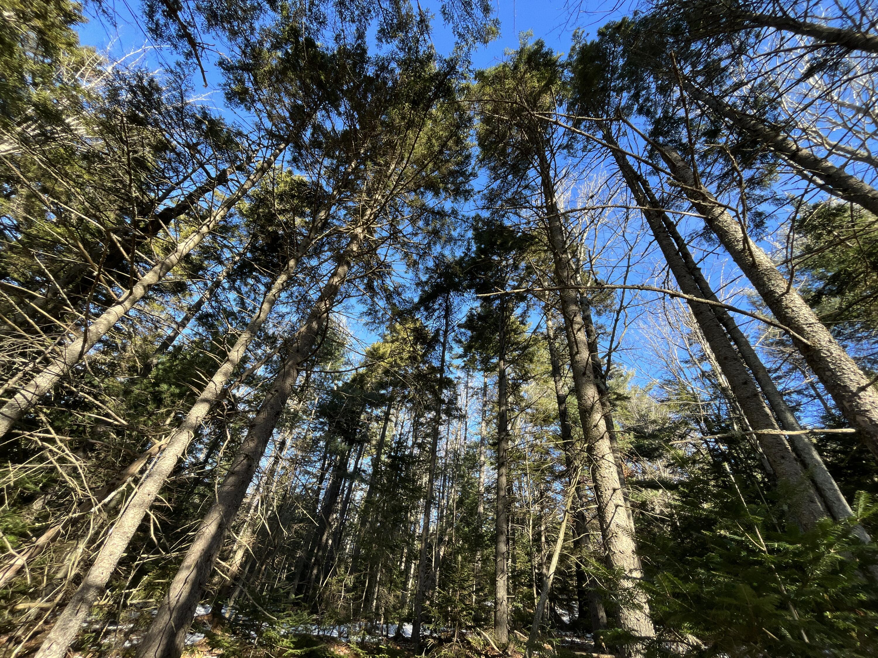 0 High Street, Peru, ME, 04290