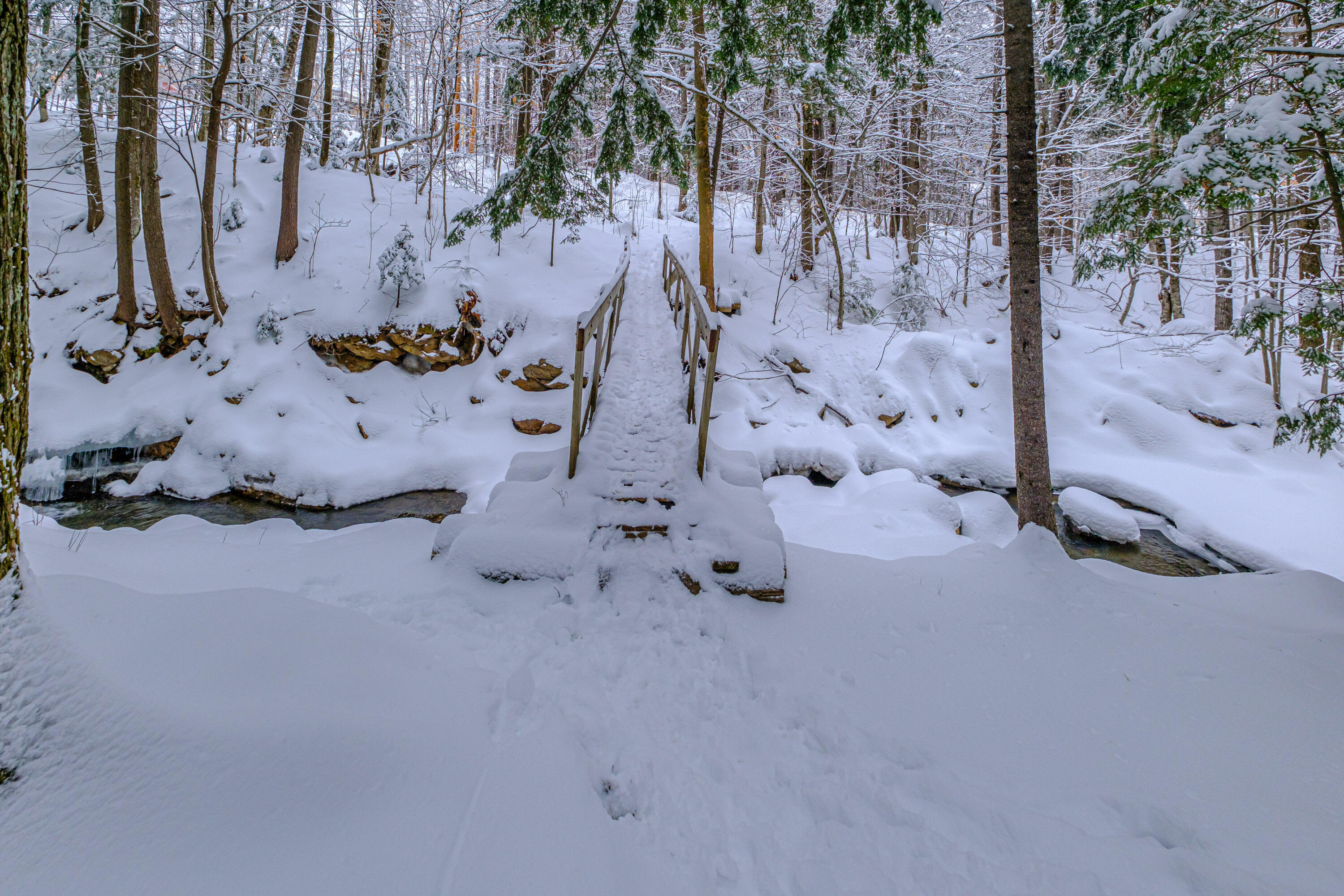 45 Viking Village Road, Newry, ME, 04261