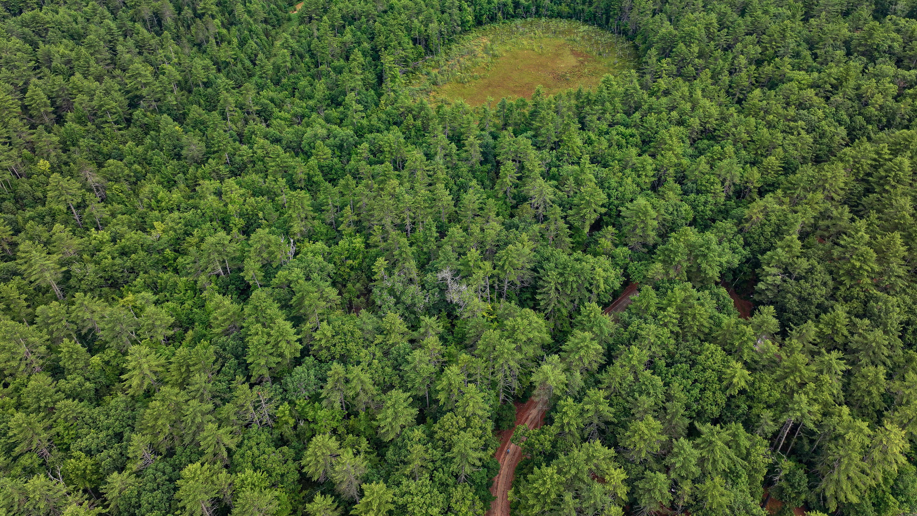 62-B Long Pond Drive, Denmark, ME, 04022