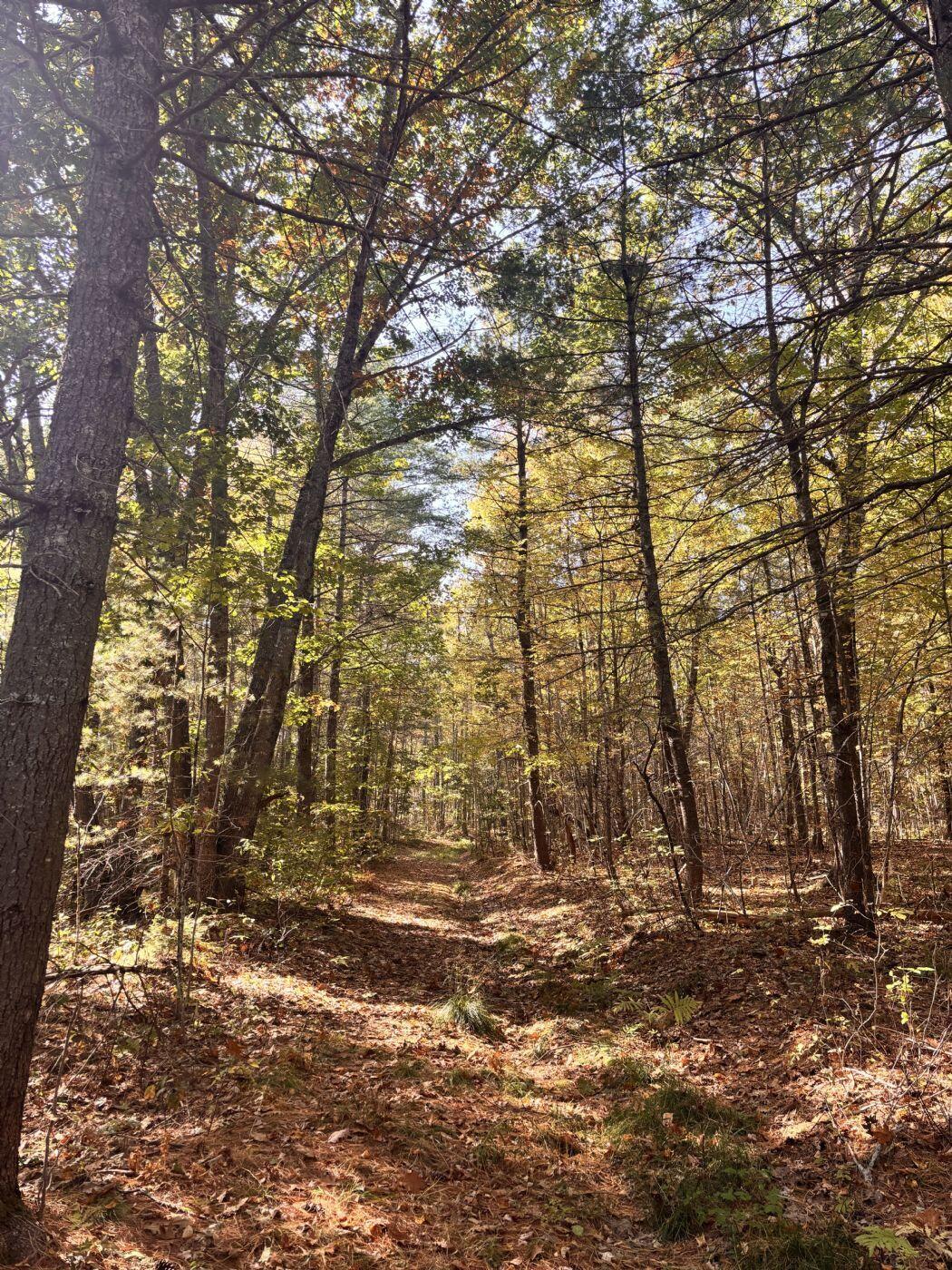 150 Bowden Point Road, Prospect, ME, 04981