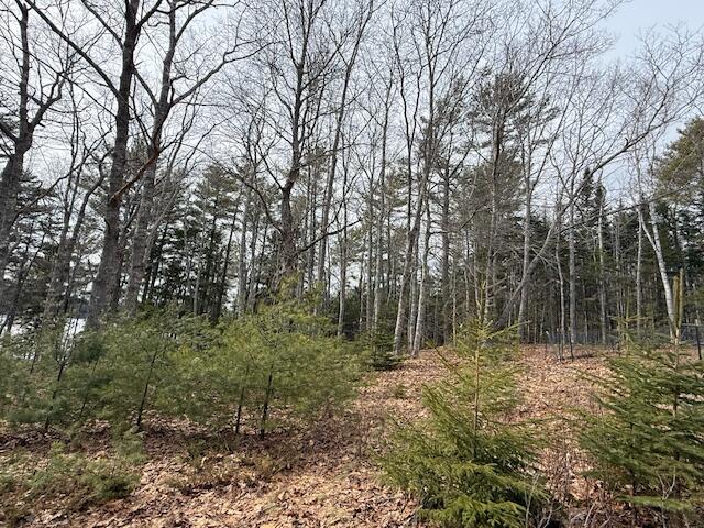 203 Garnet Head Road, Pembroke, ME, 04666