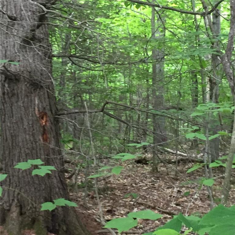 0 Richardson Hollow & Young Hill Road, Greenwood, ME, 04255