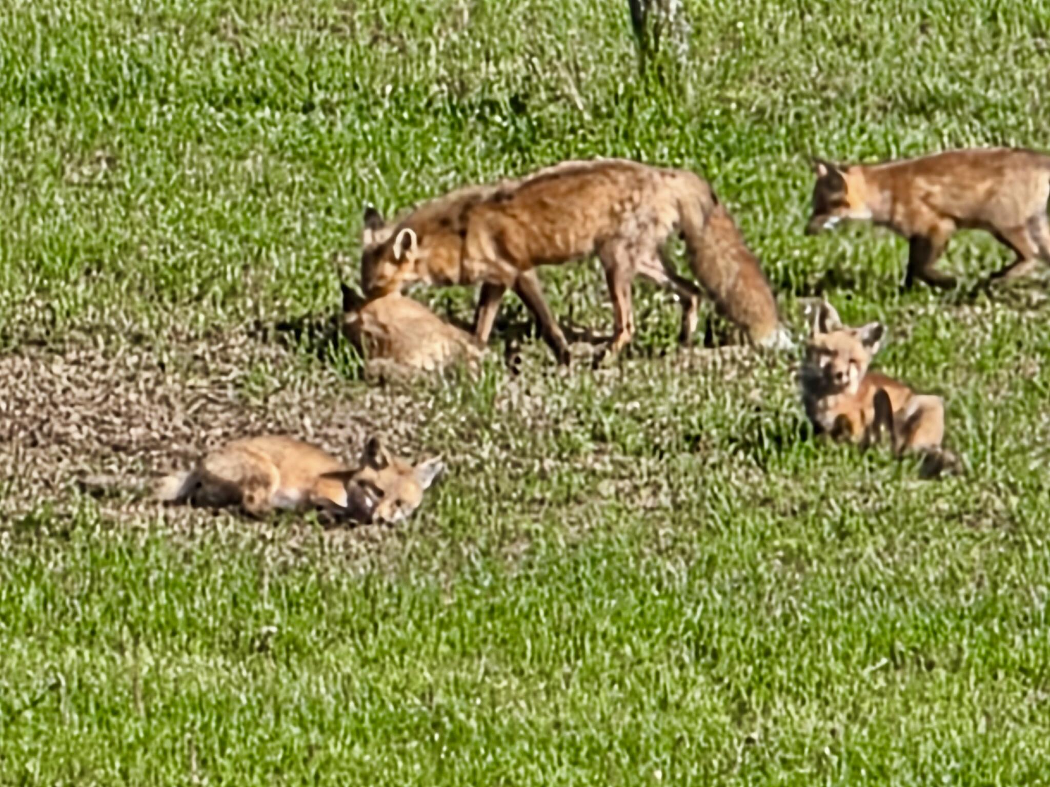 28 Messina Drive, Skowhegan, ME, 04976