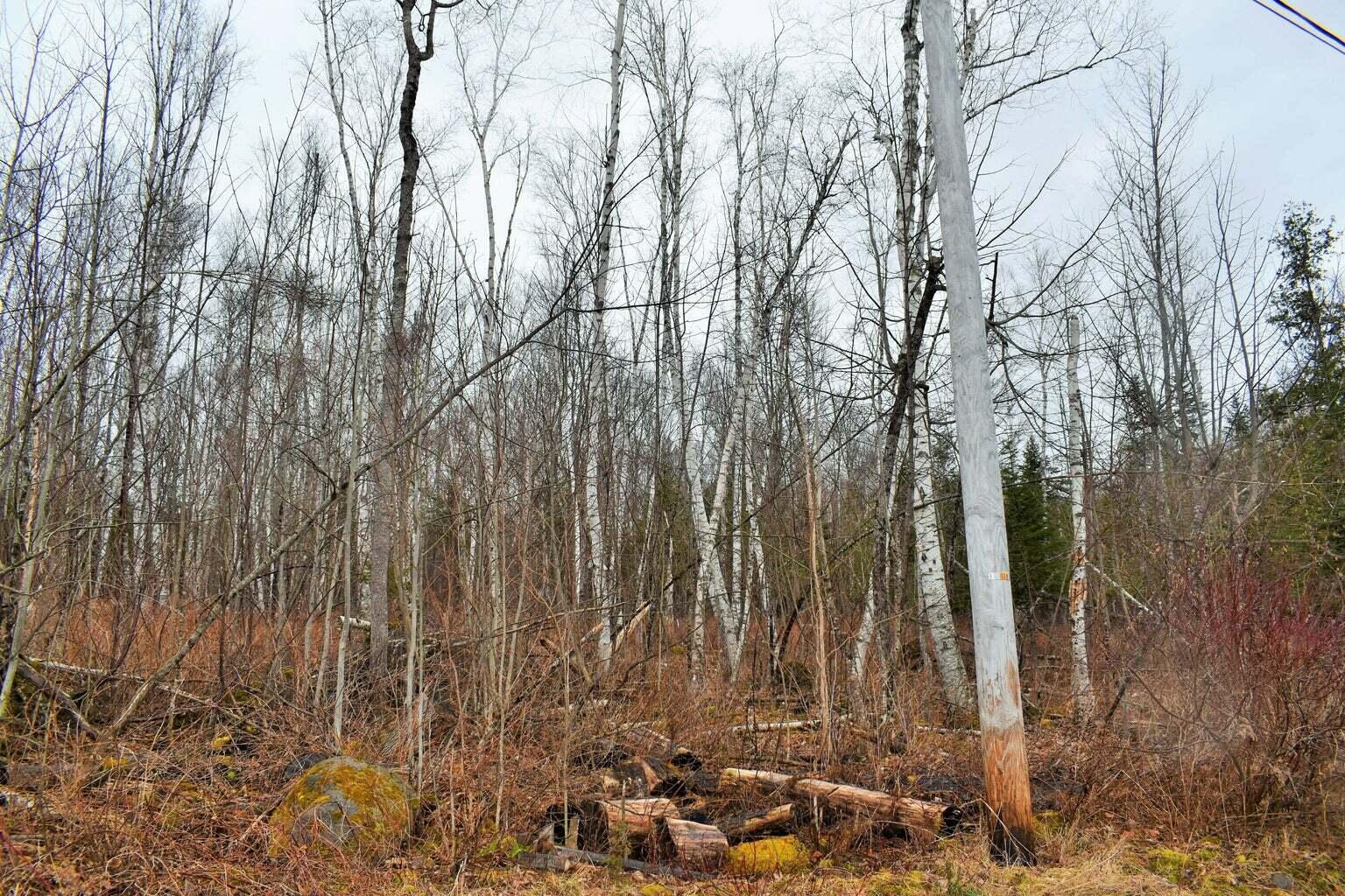 PO72,P090 Cotta Lane & RT 43, Saint Albans, ME, 04971