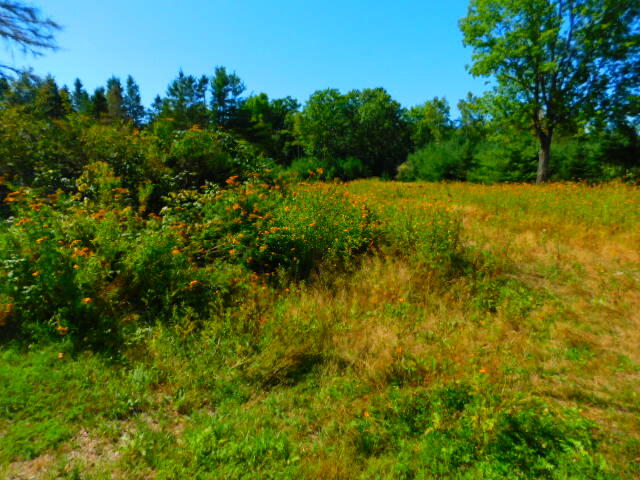 Photo of 471 Copeland Hill Road Holden ME 04429