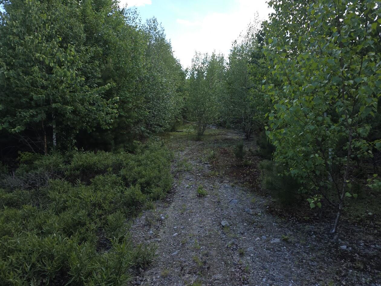 0 E Pleasant River Lake Road, Beddington, ME 04622 20260617_143610