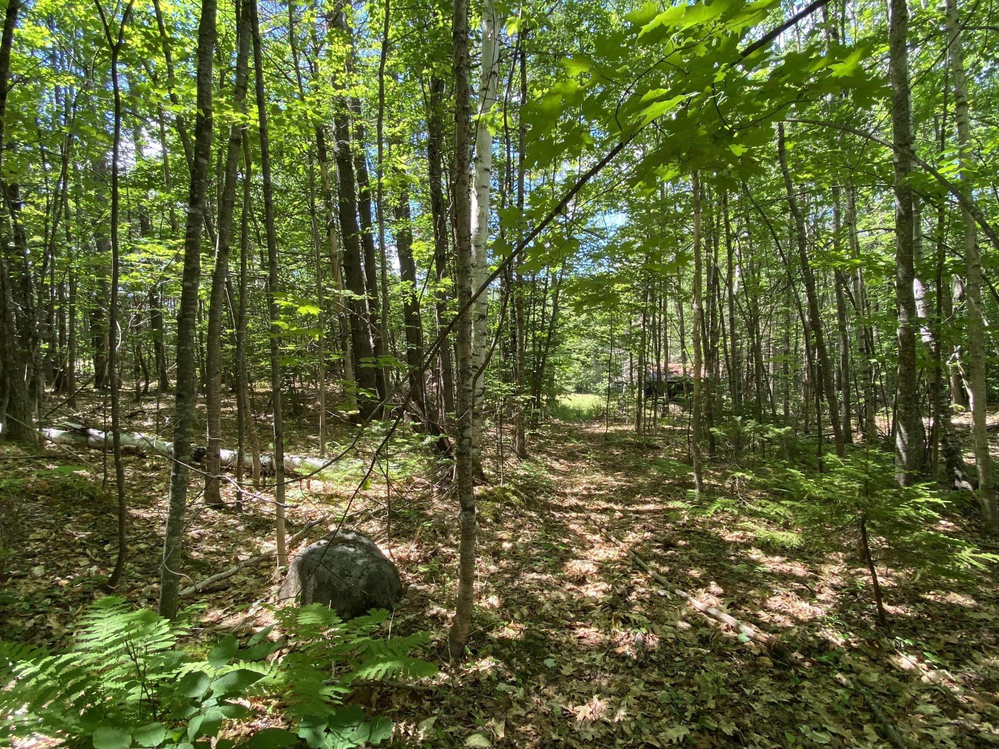 64 Bird Hill Road, Woodstock, ME, 04217